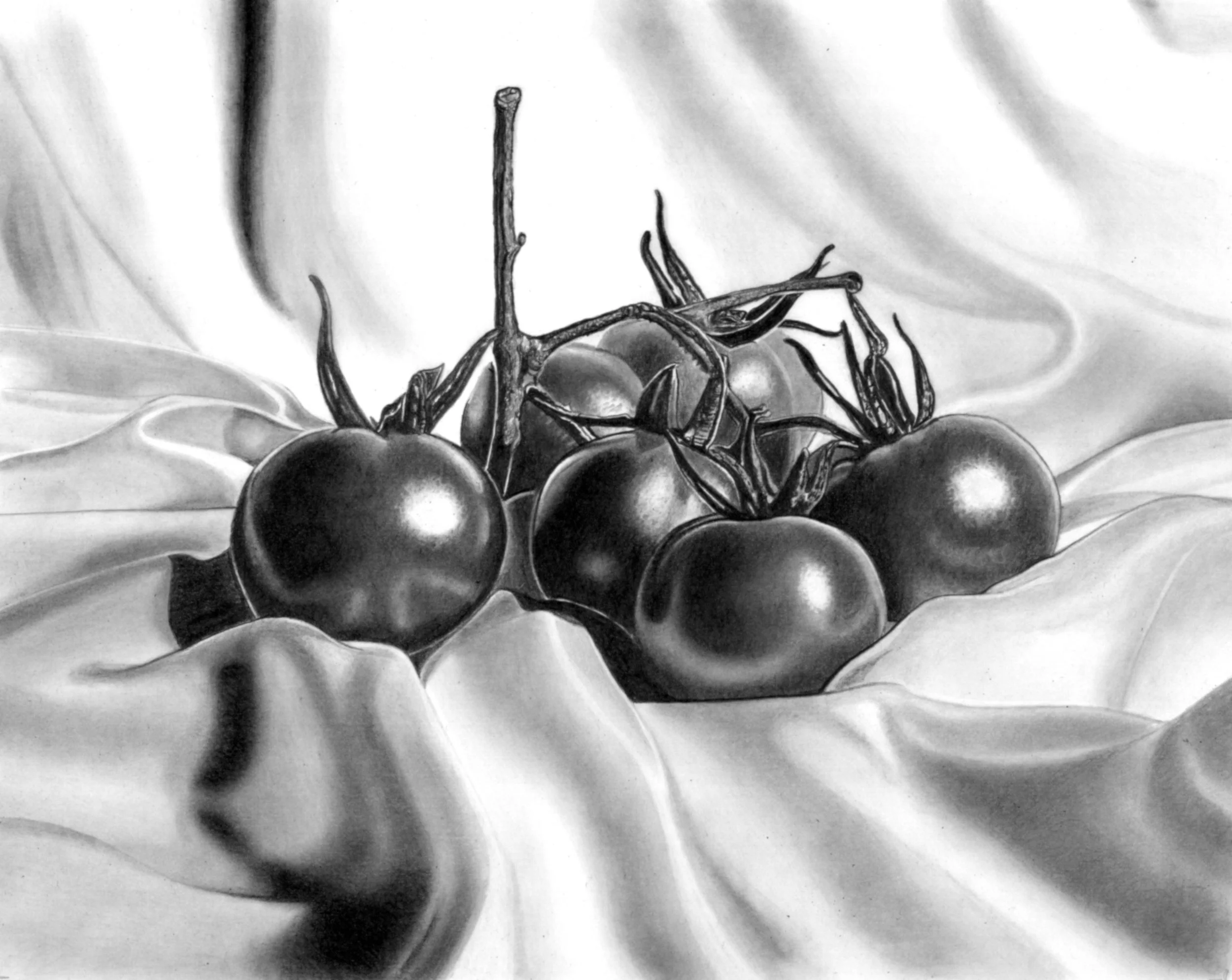 Vine Tomatoes 36cm x 29cm Scan.jpeg