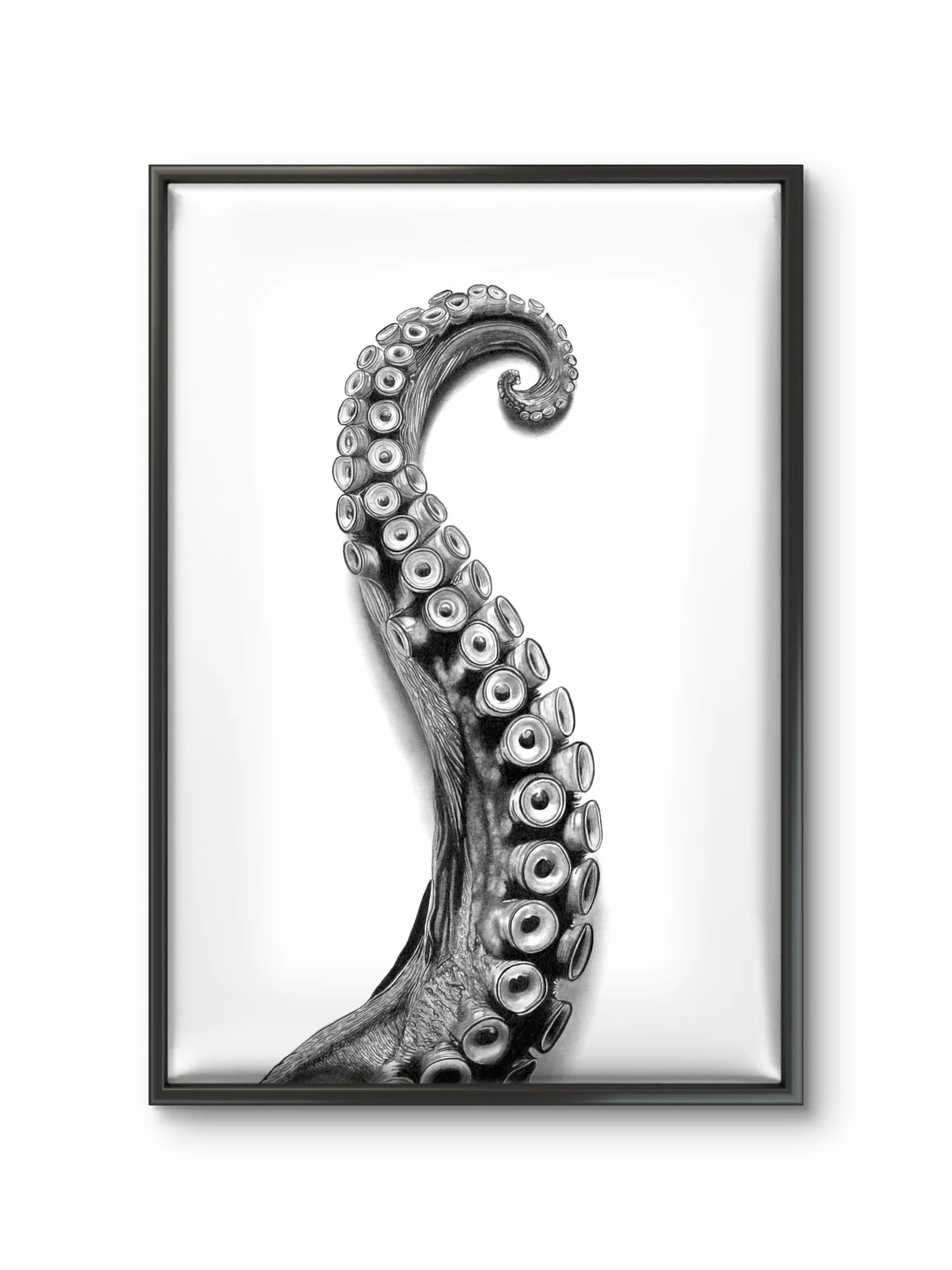 Octo Black Frame.jpeg