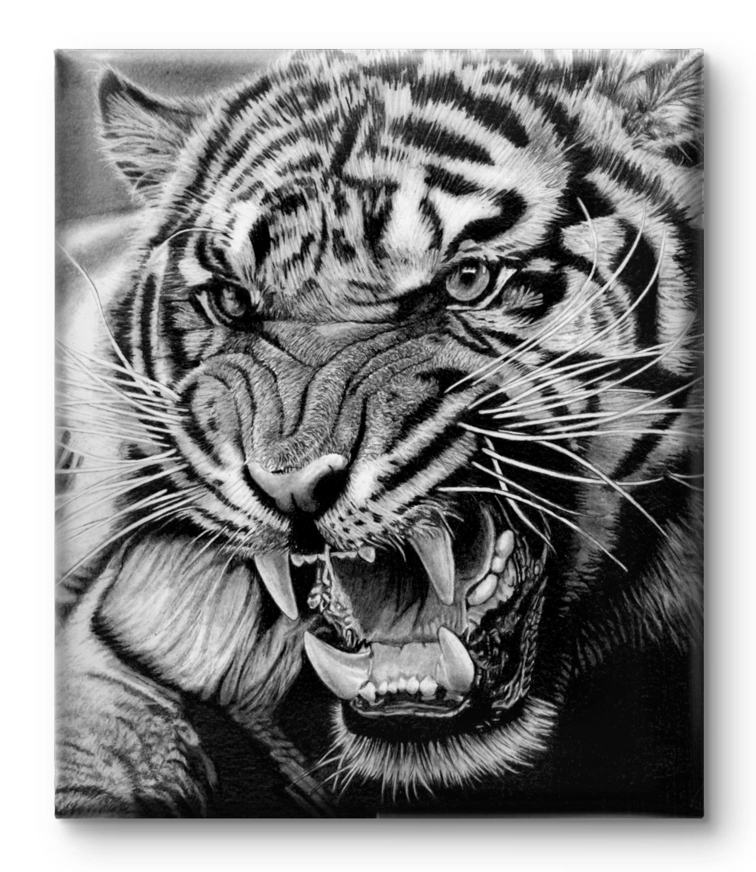Unframed Canvas Roar.jpg