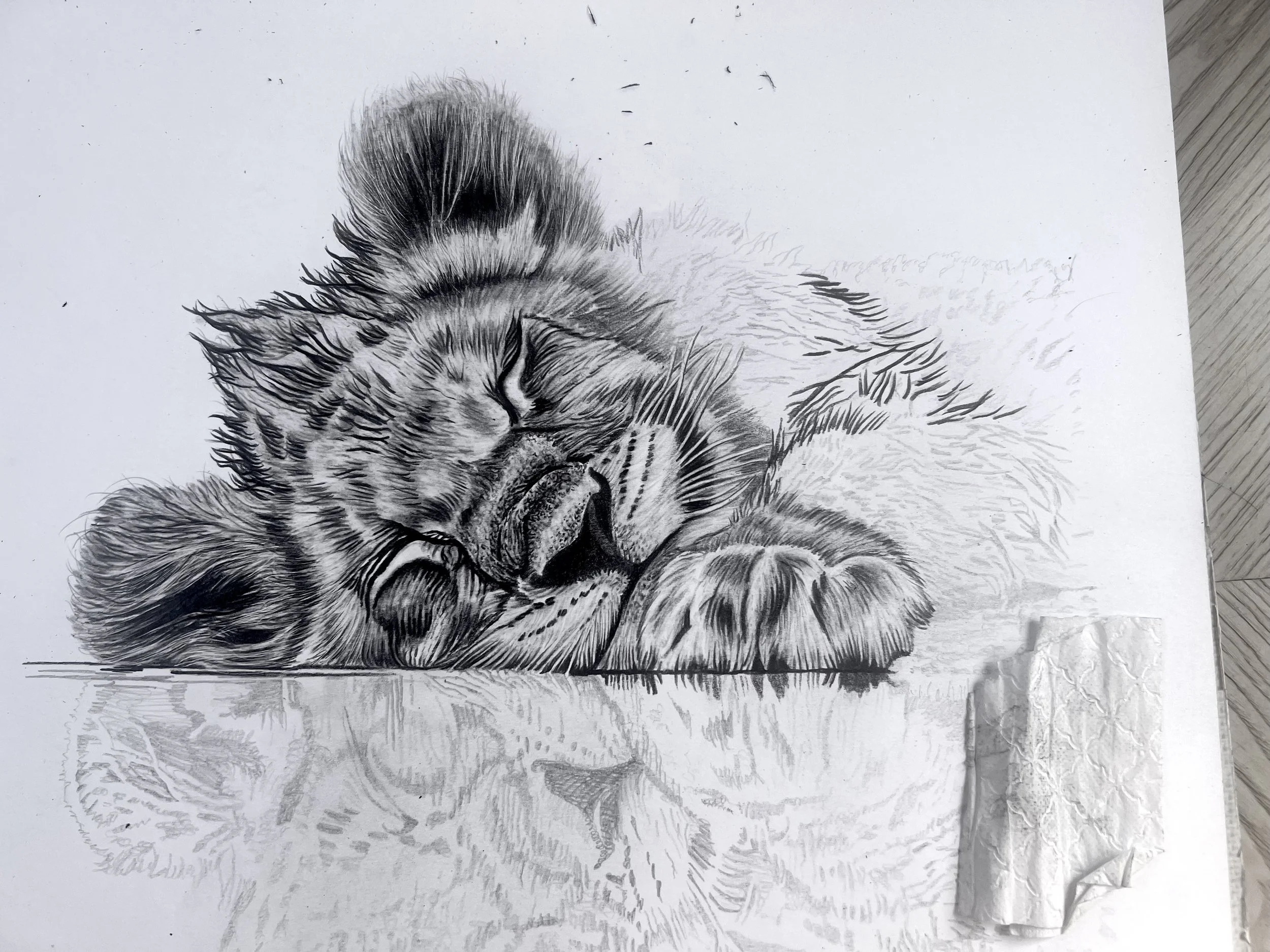 FullSizeRender 6.JPG