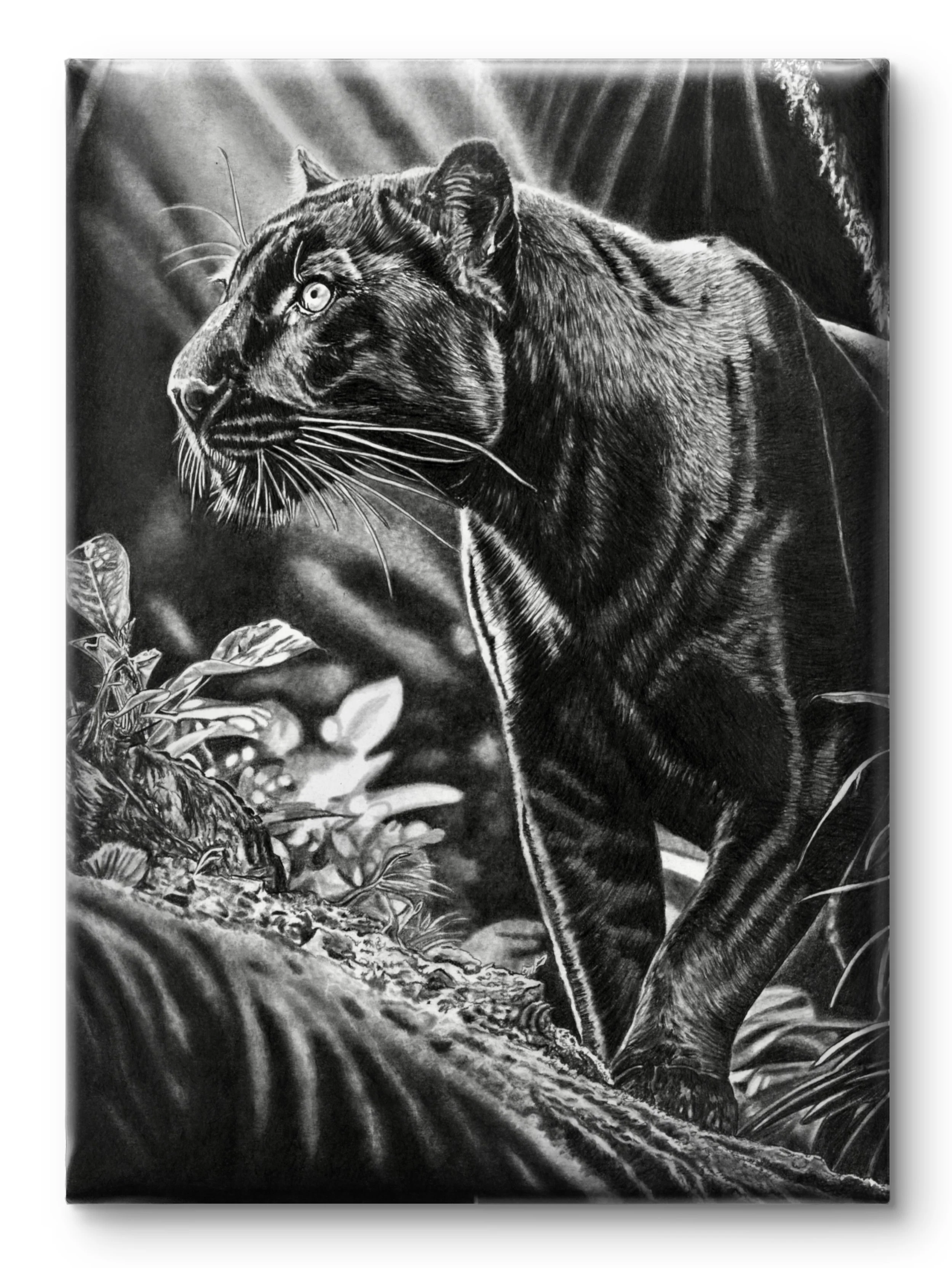 Black Panther Canvas Only.jpg