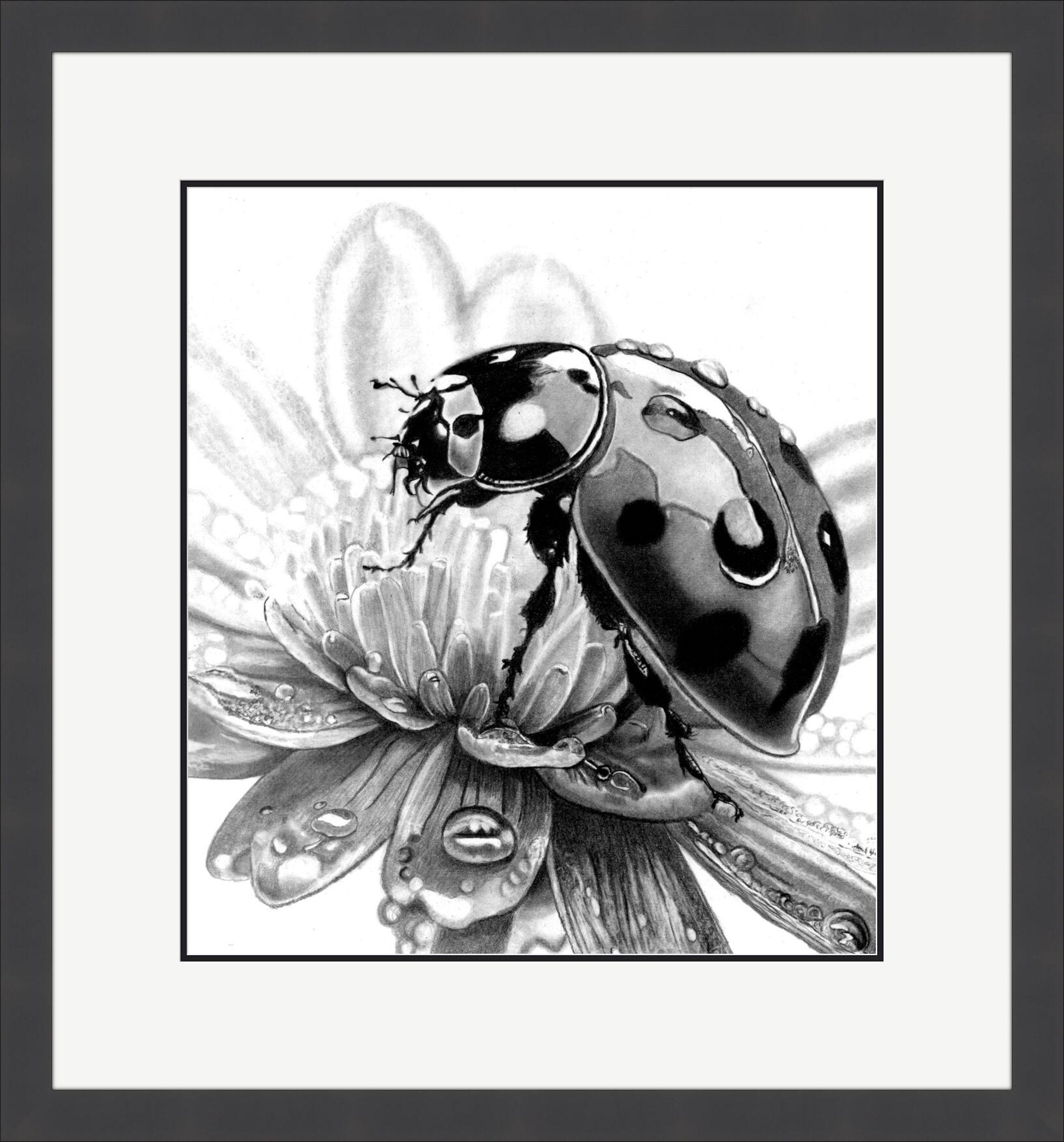 LadyBird Framed.jpeg