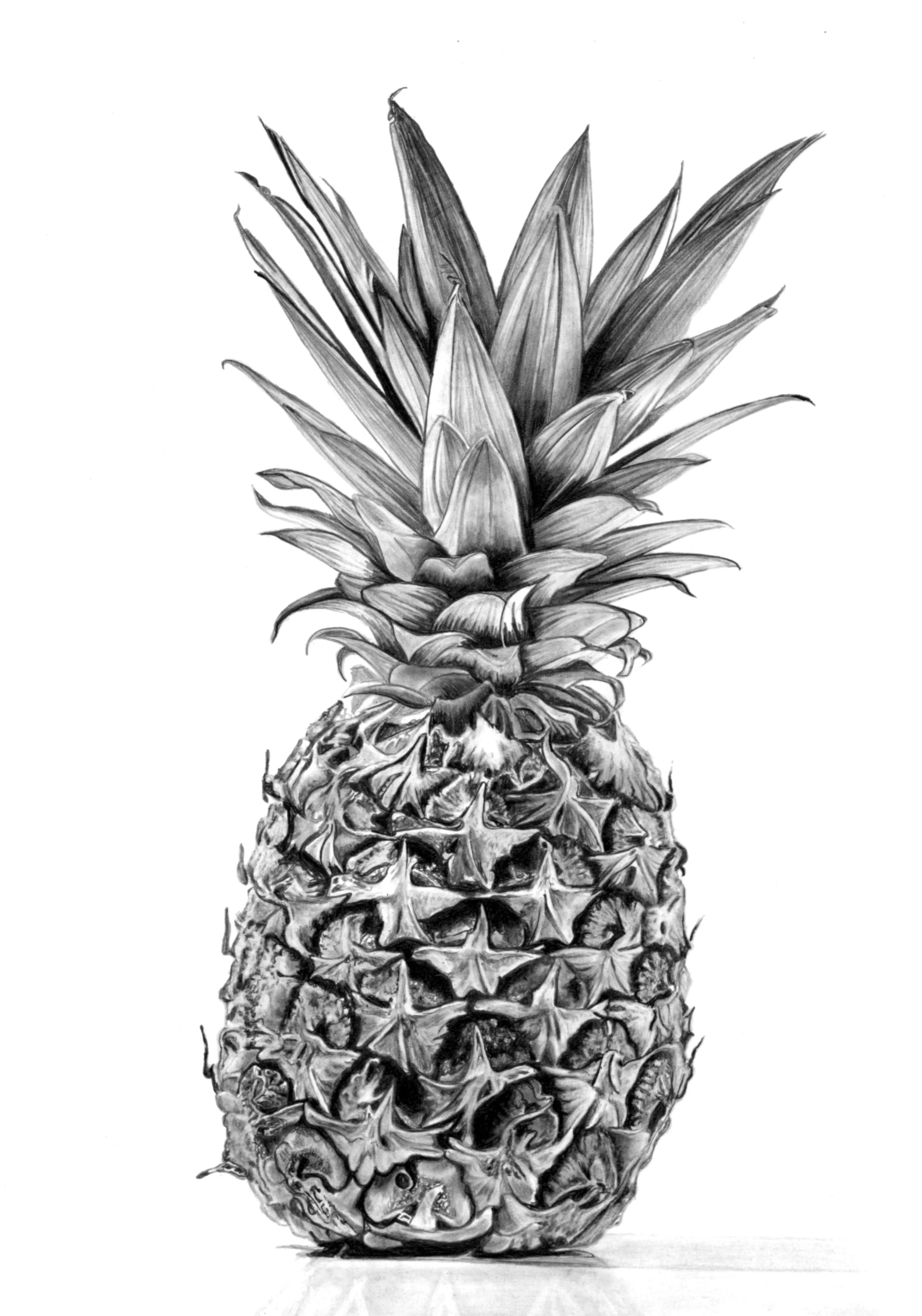 Pineapple Scan 28cm x 38cm.jpg