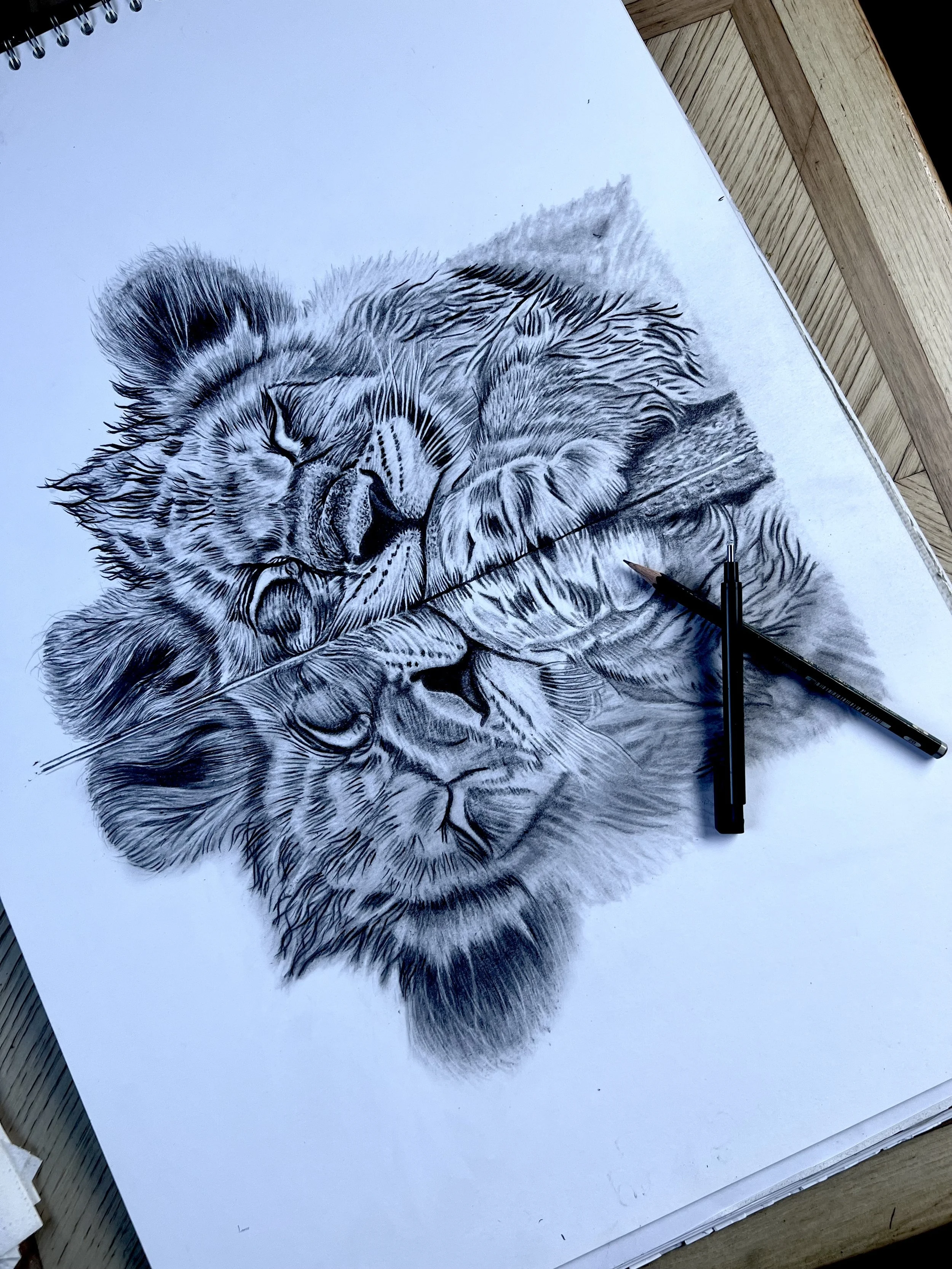 FullSizeRender 7.JPG