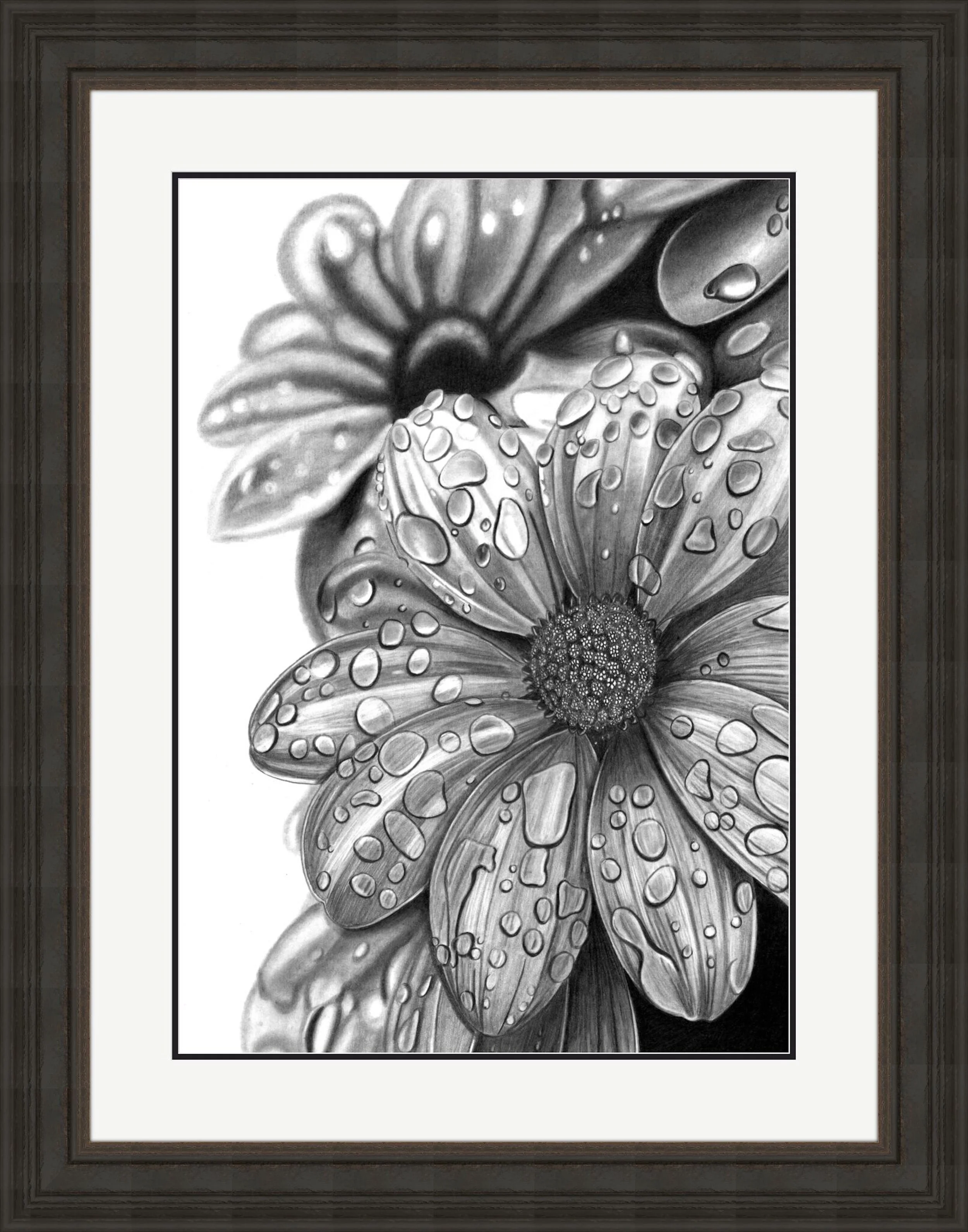 Water Petals Scan 26cm x 37cm Framed.jpeg