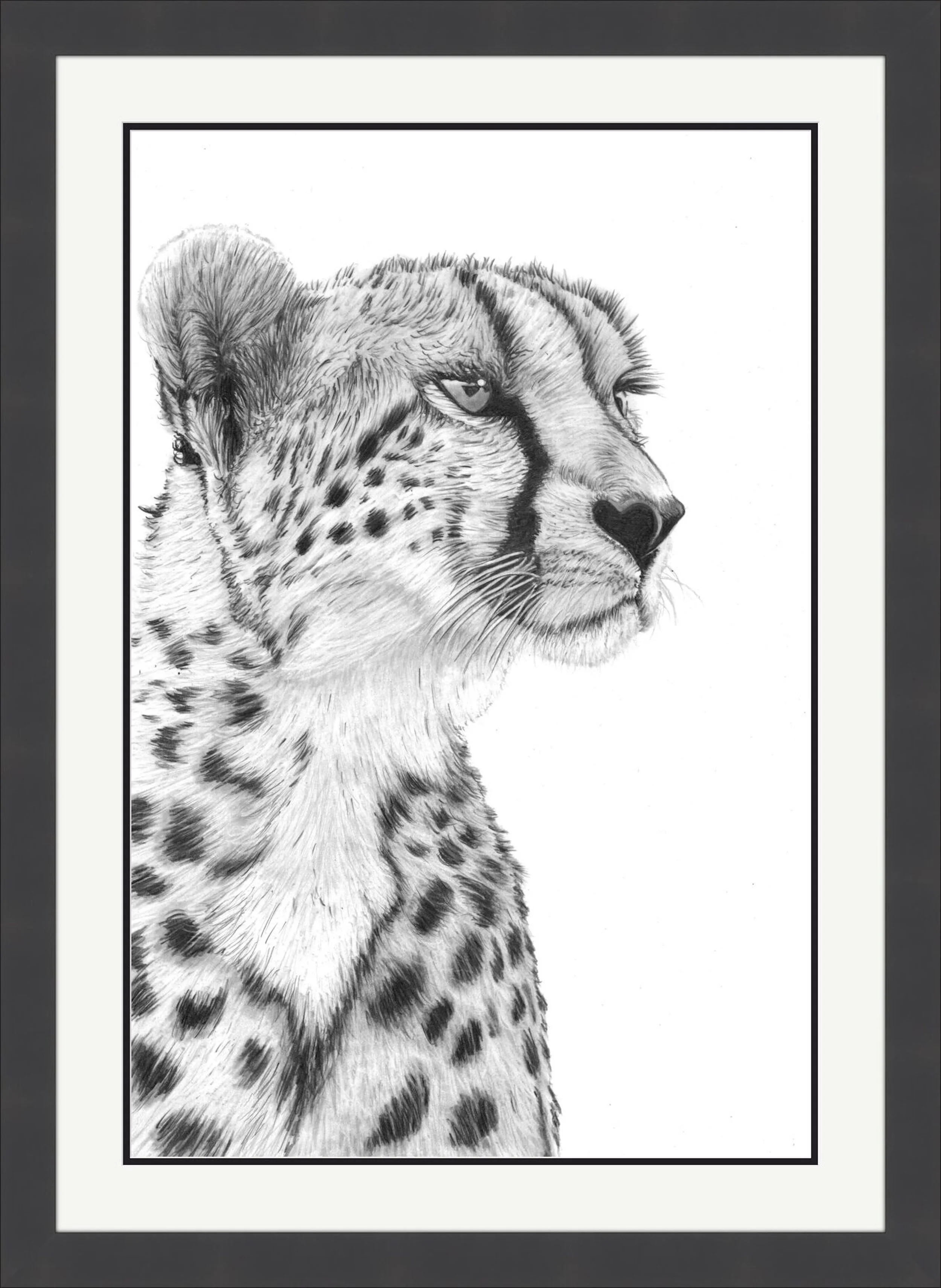 Cheetah Scan 2025 - 25cm x 35cm Framed.jpeg