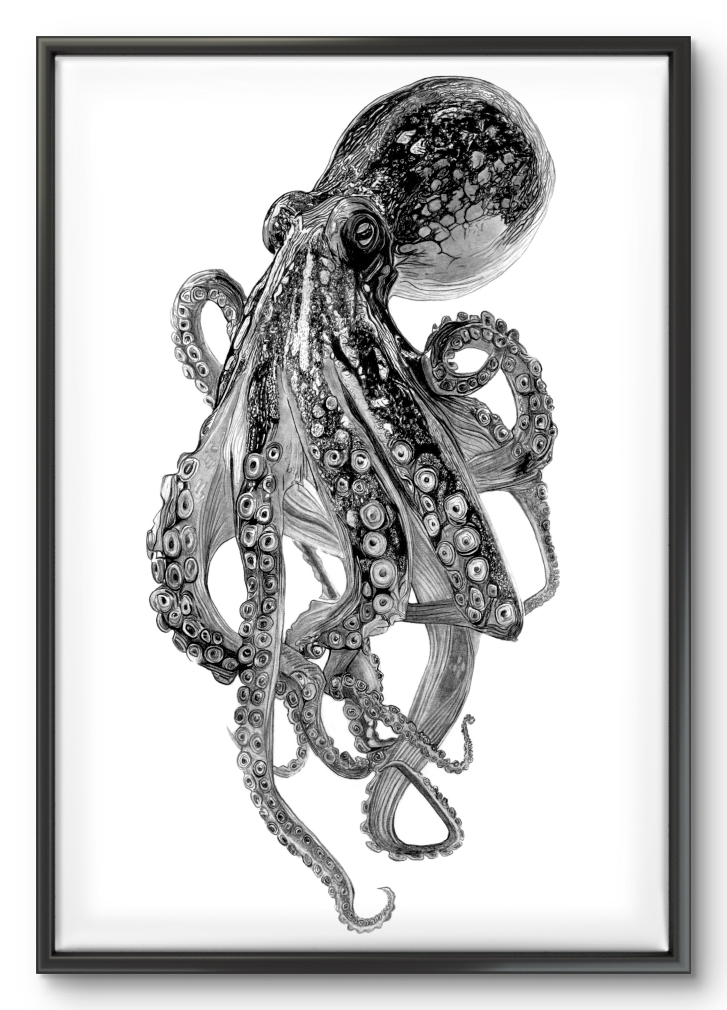 octo black frame.jpeg