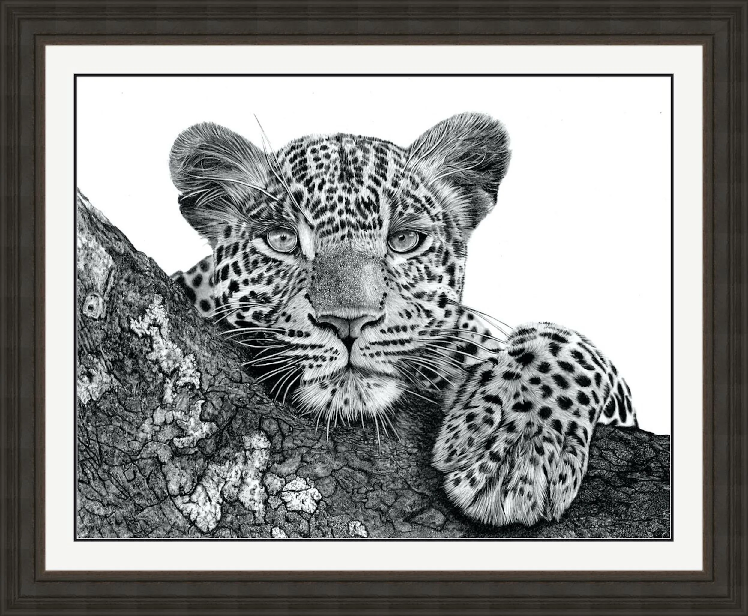 Leopard in a Tree 2025 Framed.jpeg