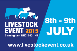 Livestock at Livestock Event 