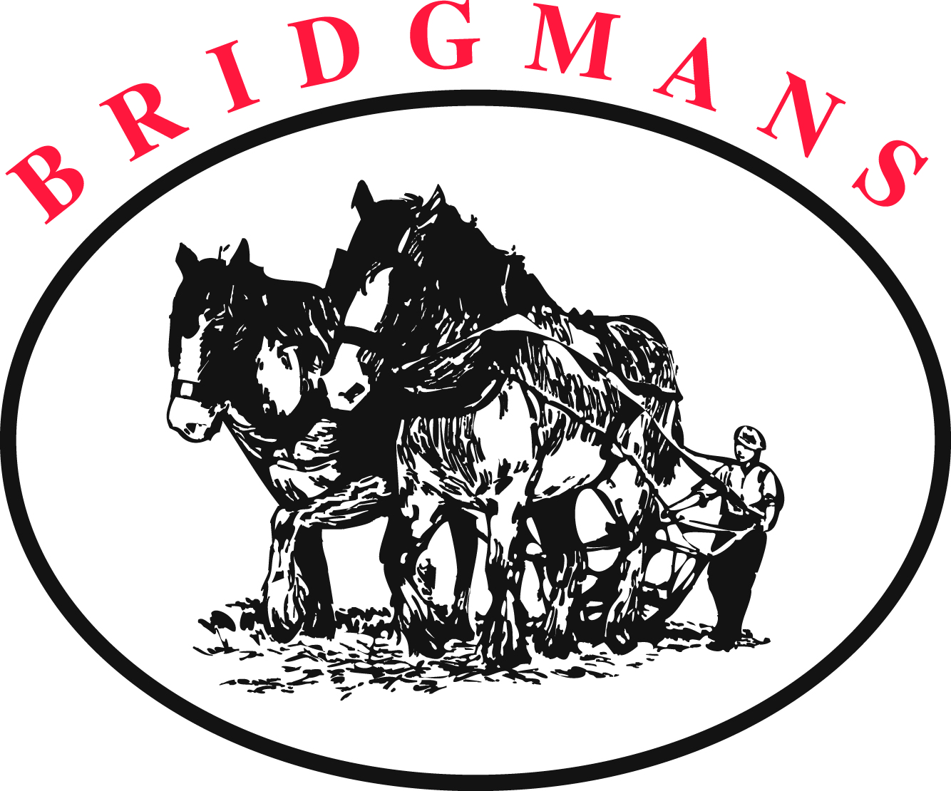 Bridgmans logo new colour.jpg