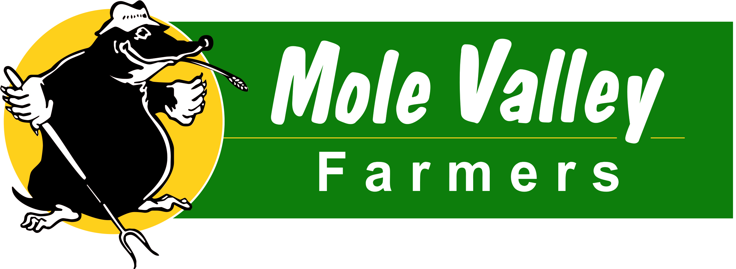 Mole valley logo.jpg