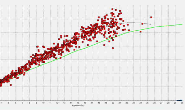 Graph showing body weight of youngstock (y axis) and age in months (x axis) compared to targets.