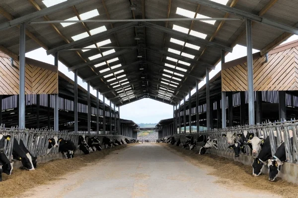 Neil Baker is hosting the Gold Cup open day at his farm on May 25th.