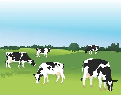 Business training course continues to prove its worth in the dairy industry