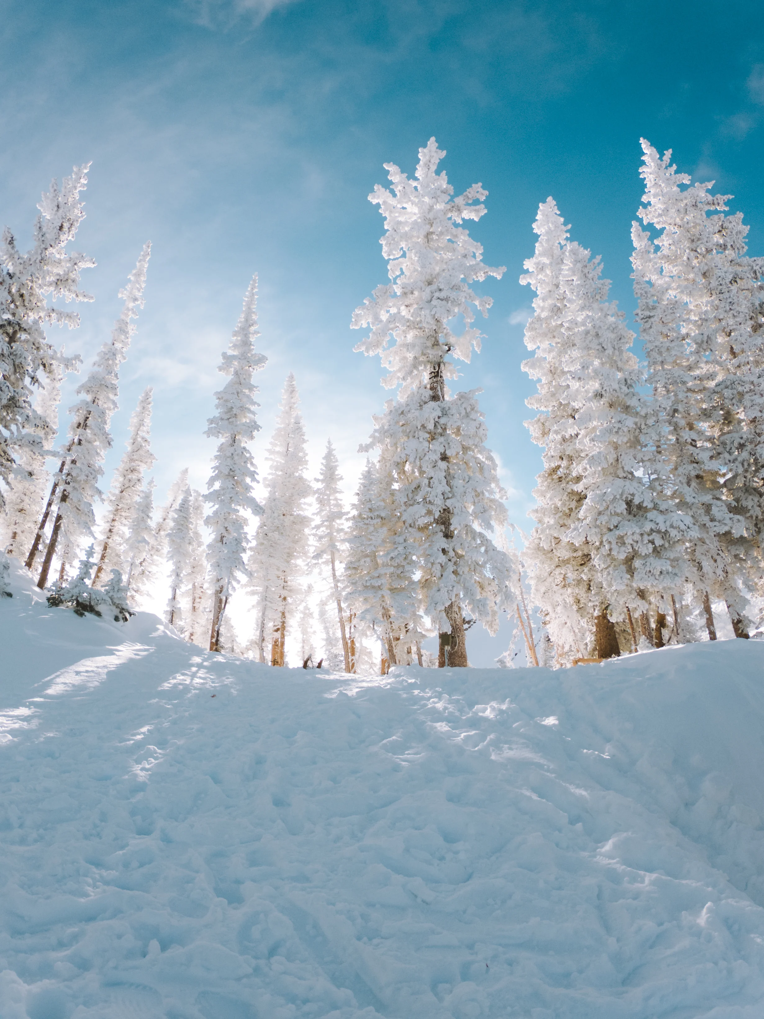 GOPR7904-Edit.jpg