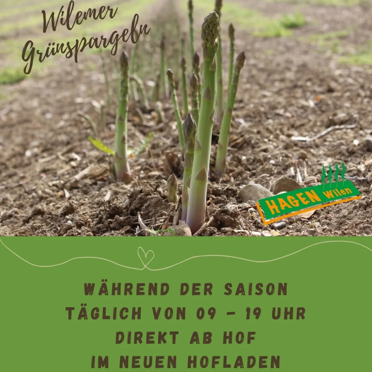 🌱 Gr&uuml;nspargeln direkt ab Hof 🌱

Unsere frischen, knackigen Gr&uuml;nspargeln gibts bei uns t&auml;glich zwischen 09 - 19 Uhr im Hofladen.

Wir freuen uns auf deinen Besuch!

#hagenwilen #wilemerspargeln #gr&uuml;nspargel #schweizerspargel #sch