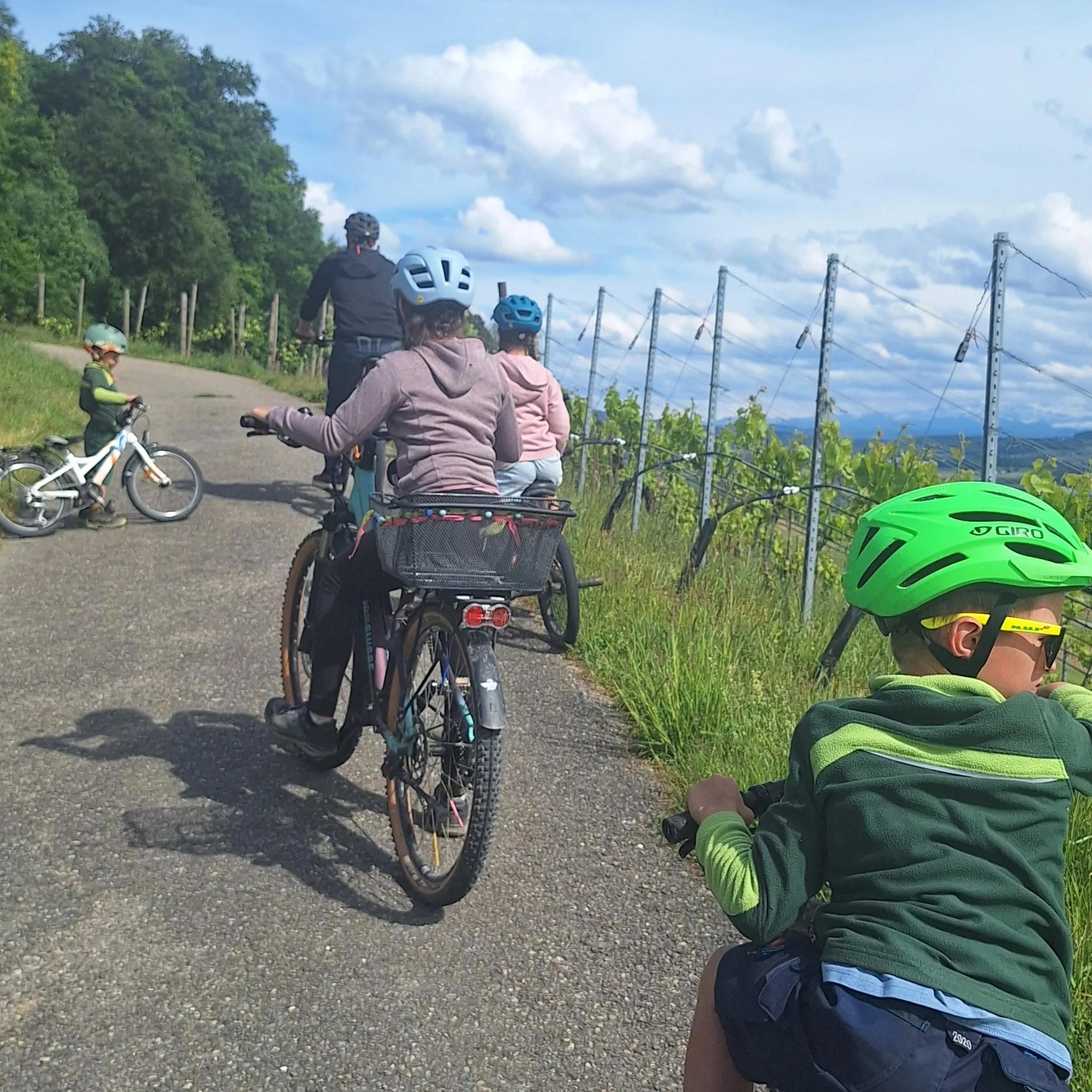 🌱 Sonntags-Feldrundgang 🌱

Mit dem Velo von den Reben zu Zwiebeln und Kartoffeln, nach dem Regen pr&auml;sentieren sich unsere Kulturen von der besten Seite.

Happy ☀️ig euch allen 👋

#hagenwilen #thurgauweine #neunfornerweine #premiumkartoffel #a
