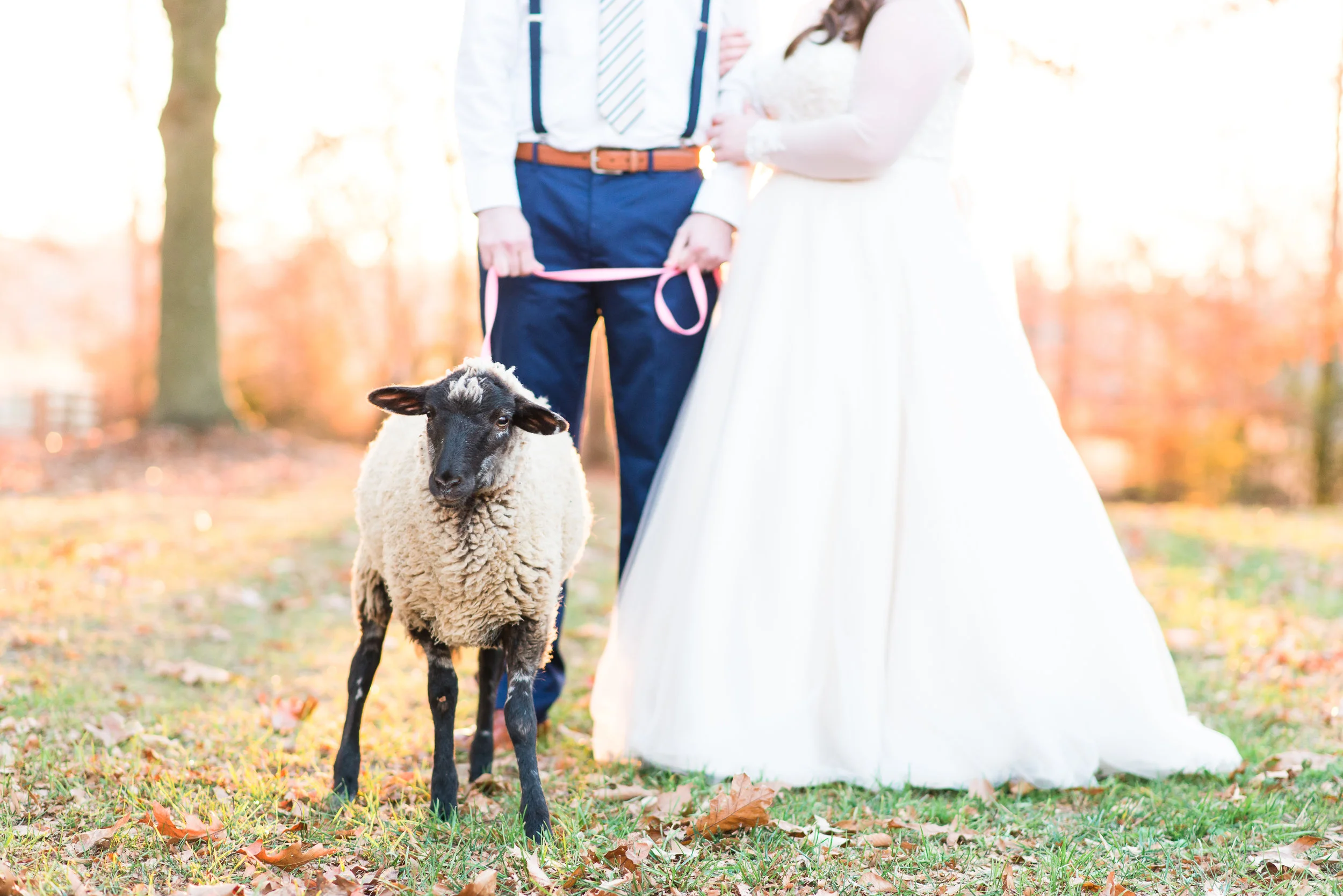 Lindsay _ Justin Bride _ Groom-242.jpg