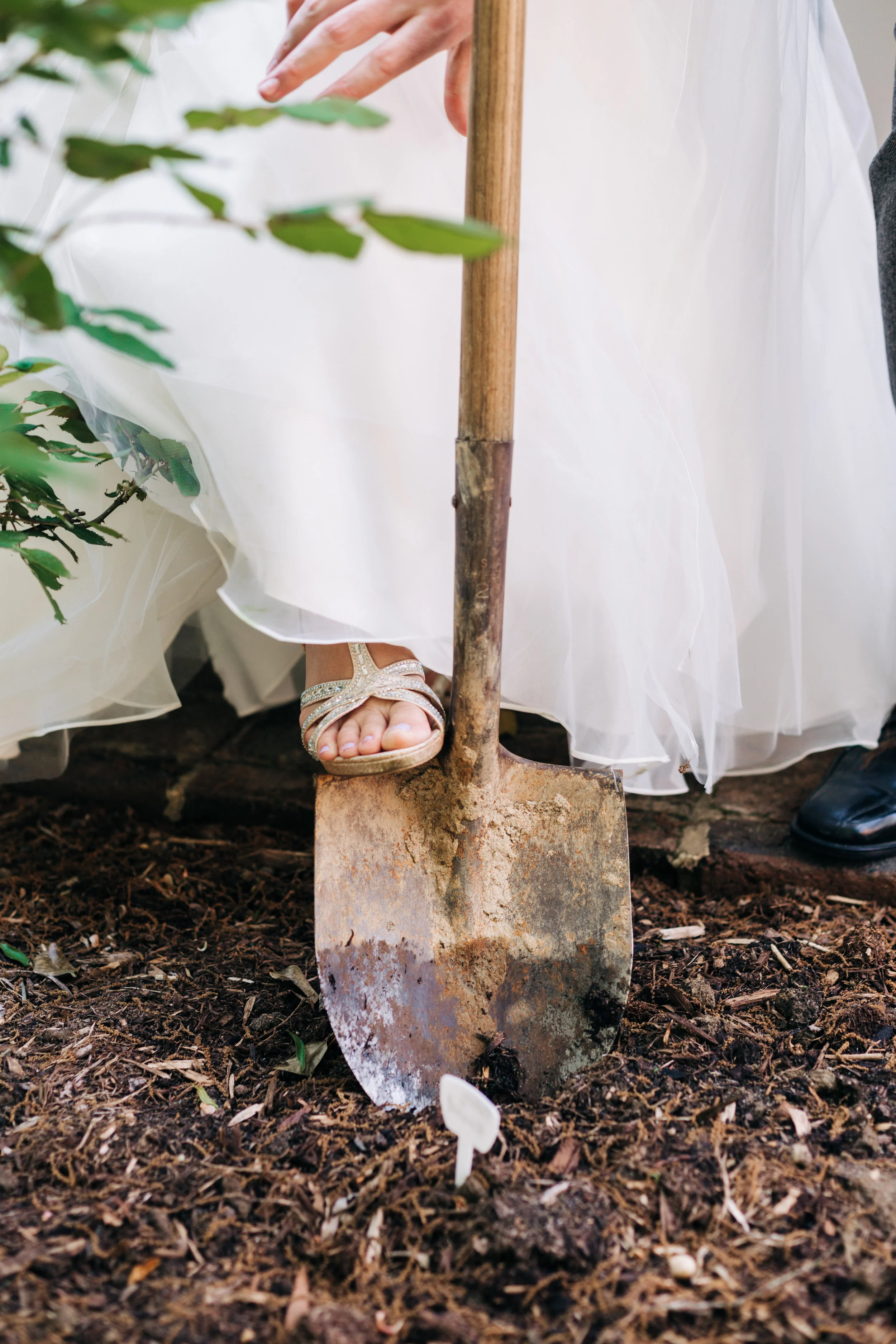 WEDDING_0404.jpg