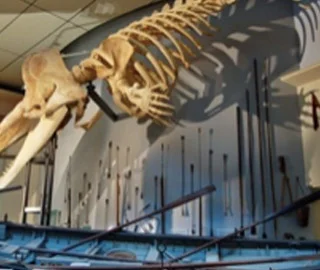 WHALING MUSEUM
