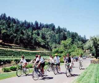 WINERY BIKE TOURS
