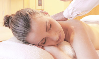 PERSONAL TRAINING + SPA SERVICES In home Trainers, Masseuse, Blow Drys Pet Care: Walking, Boarding, Grooming