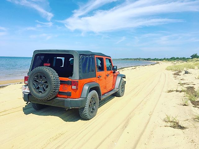 Endless Summer 🌊 #MV #MarthasVineyard #Chappy #TheEnjoyCo