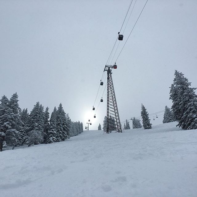 Tough visibility but amazing #snow out there today! 🌨😄 #sundayfunday #pow #aspen #lifeisgood #luxurylifestyle #enjoyaspen