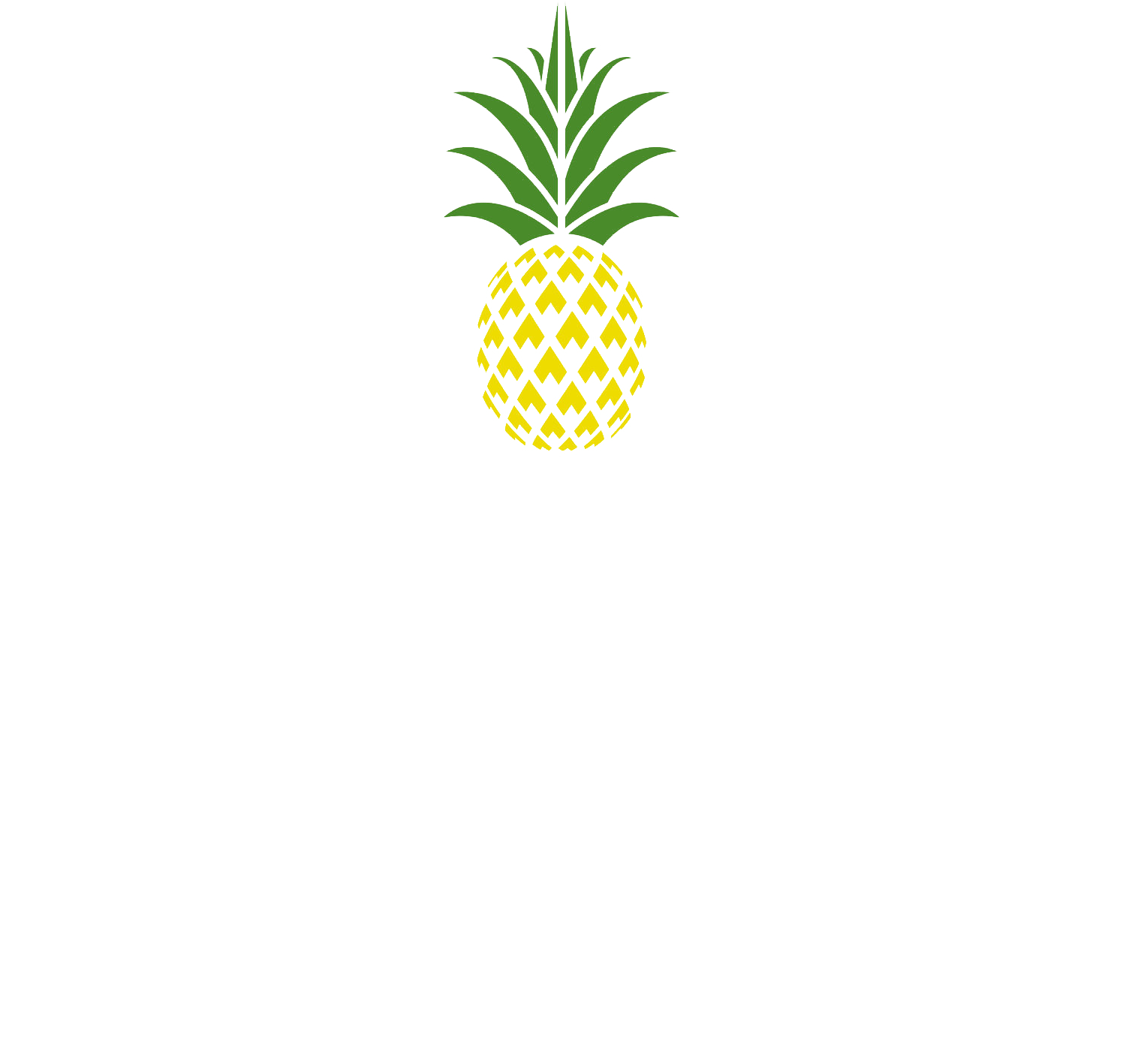 The Enjoy Company