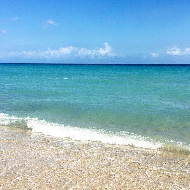 Snow schmo... ⛱ only thing we shovel in Winter is sand. Today is a 10!! Maybe it&rsquo;s time for a vacation 😎 #palmbeach #householdmanagement #seeyousoon