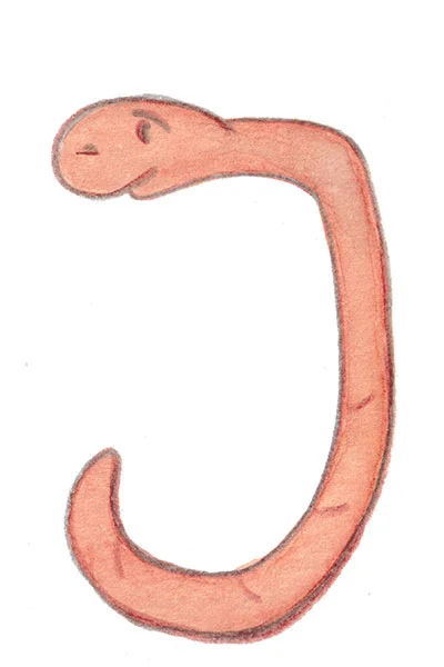 Ord som börjar på J.