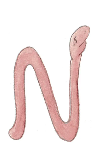 Ord som börjar på N.