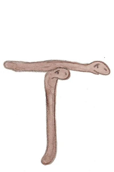 Ord som börjar på T.
