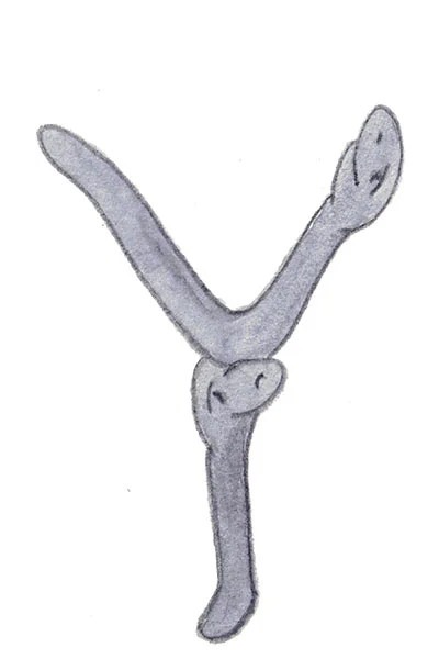 Ord som börjar på Y.