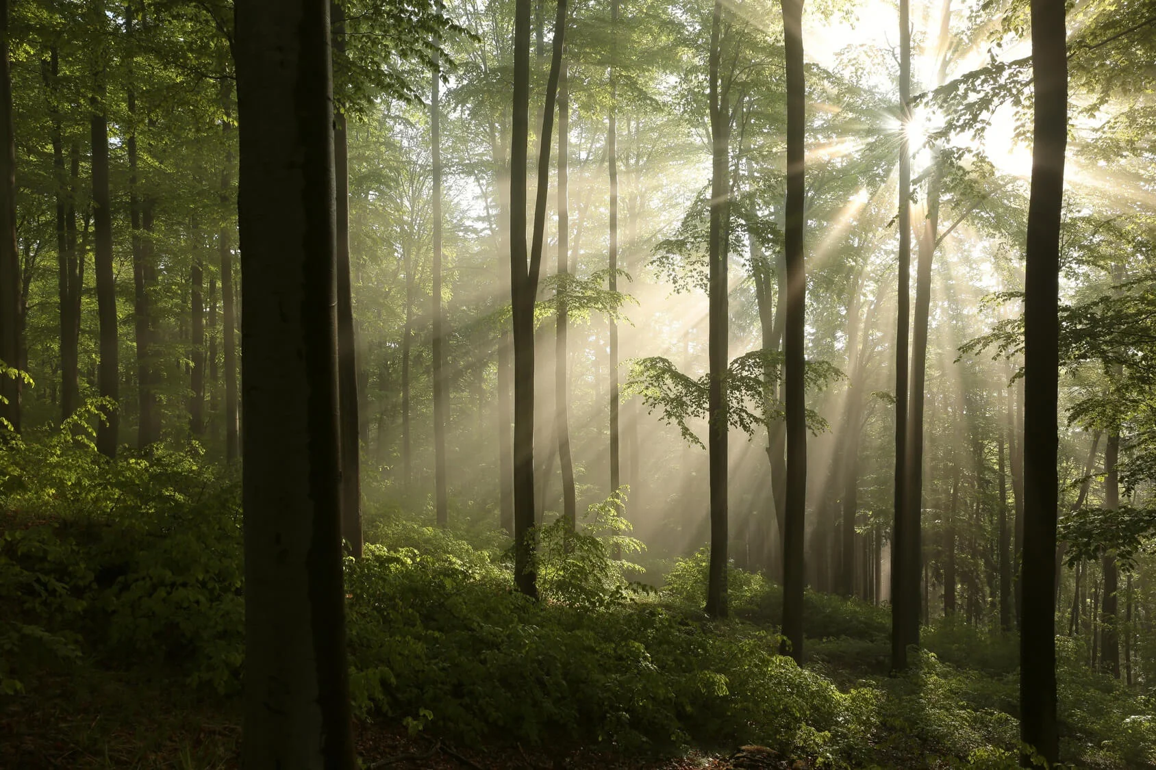 Fotolia_65075870_M.jpg