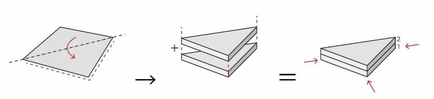 Fig 03. Desarrollo volumétrico del programa 