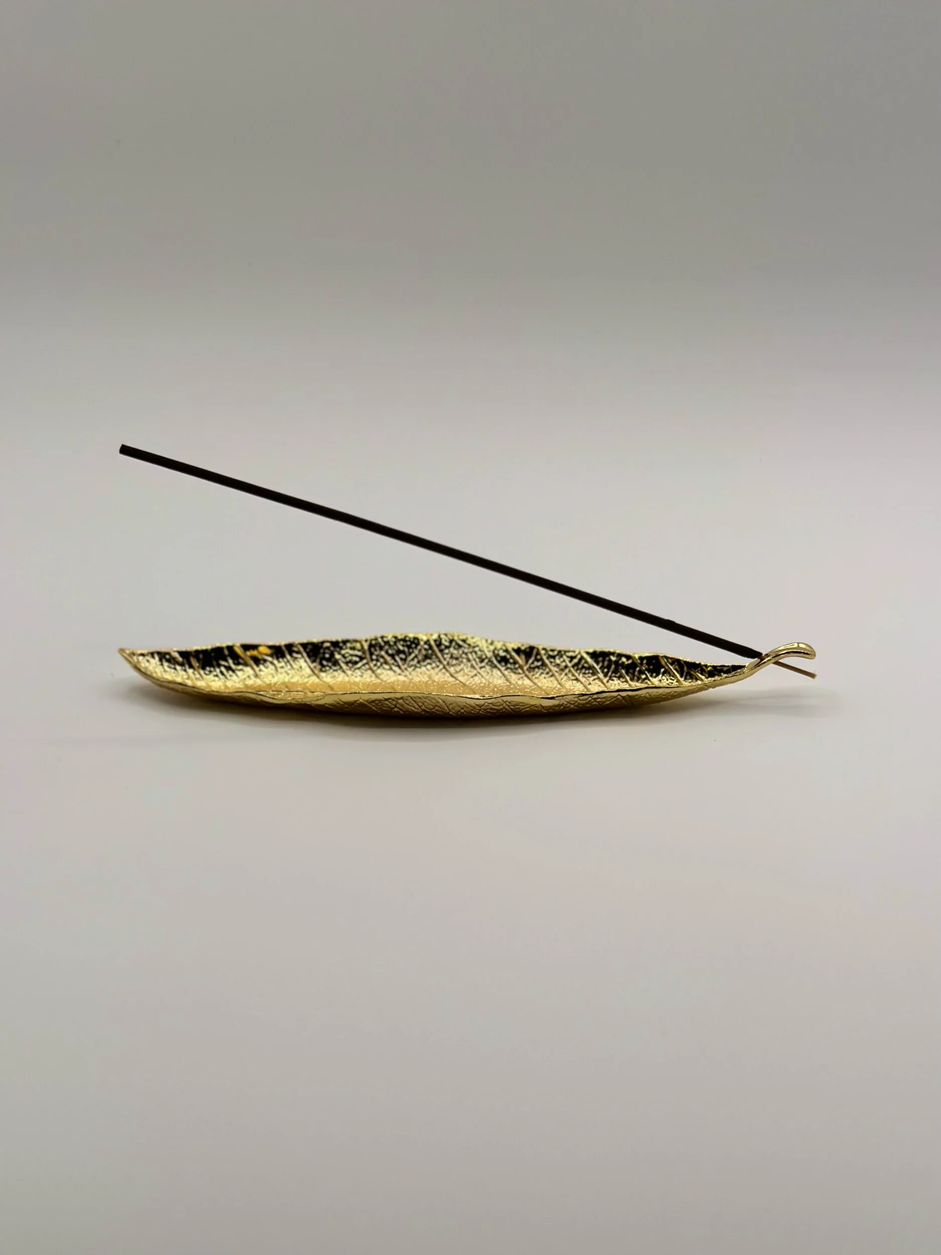 C6787AC1-2B26-4E22-8304-42748A2E0AEB