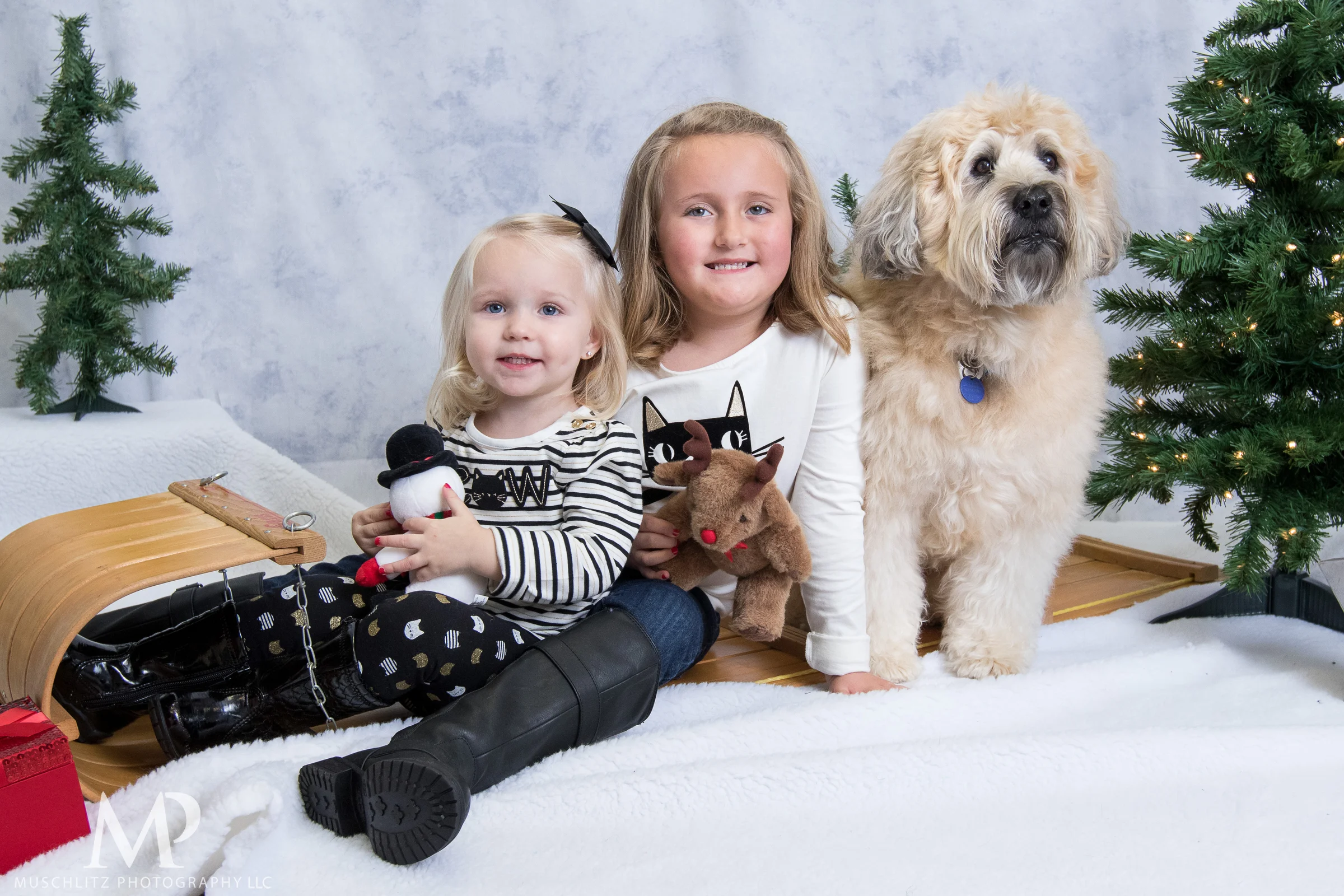 2015 Holiday Mini Sessions