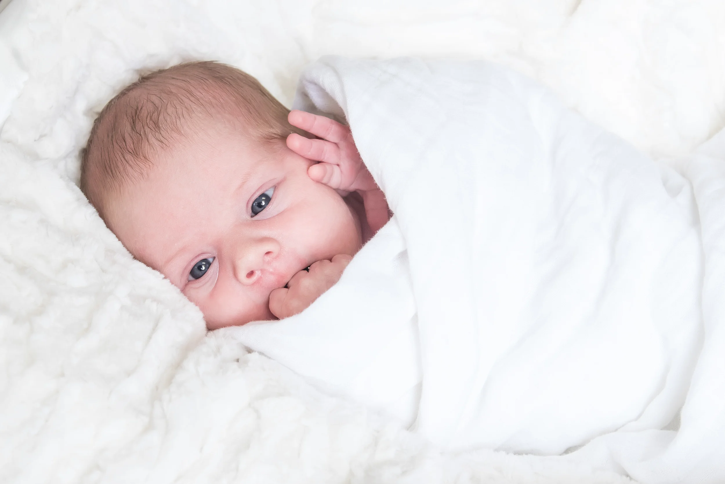 Reilly Newborn Session: Columbus, Ohio