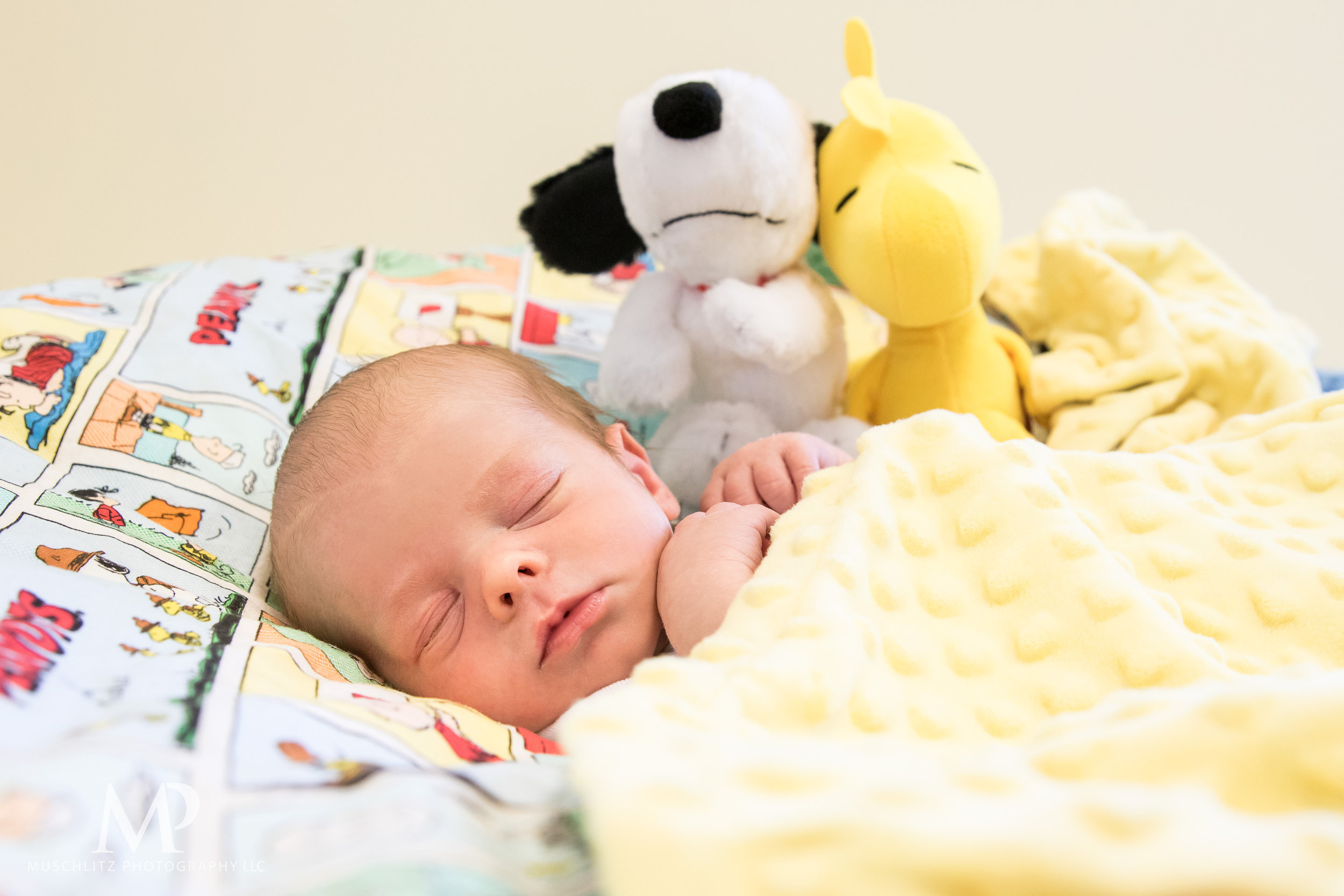 newborn-baby-photographer-columbus-ohio-gahanna-muschlitz-photography-001.JPG
