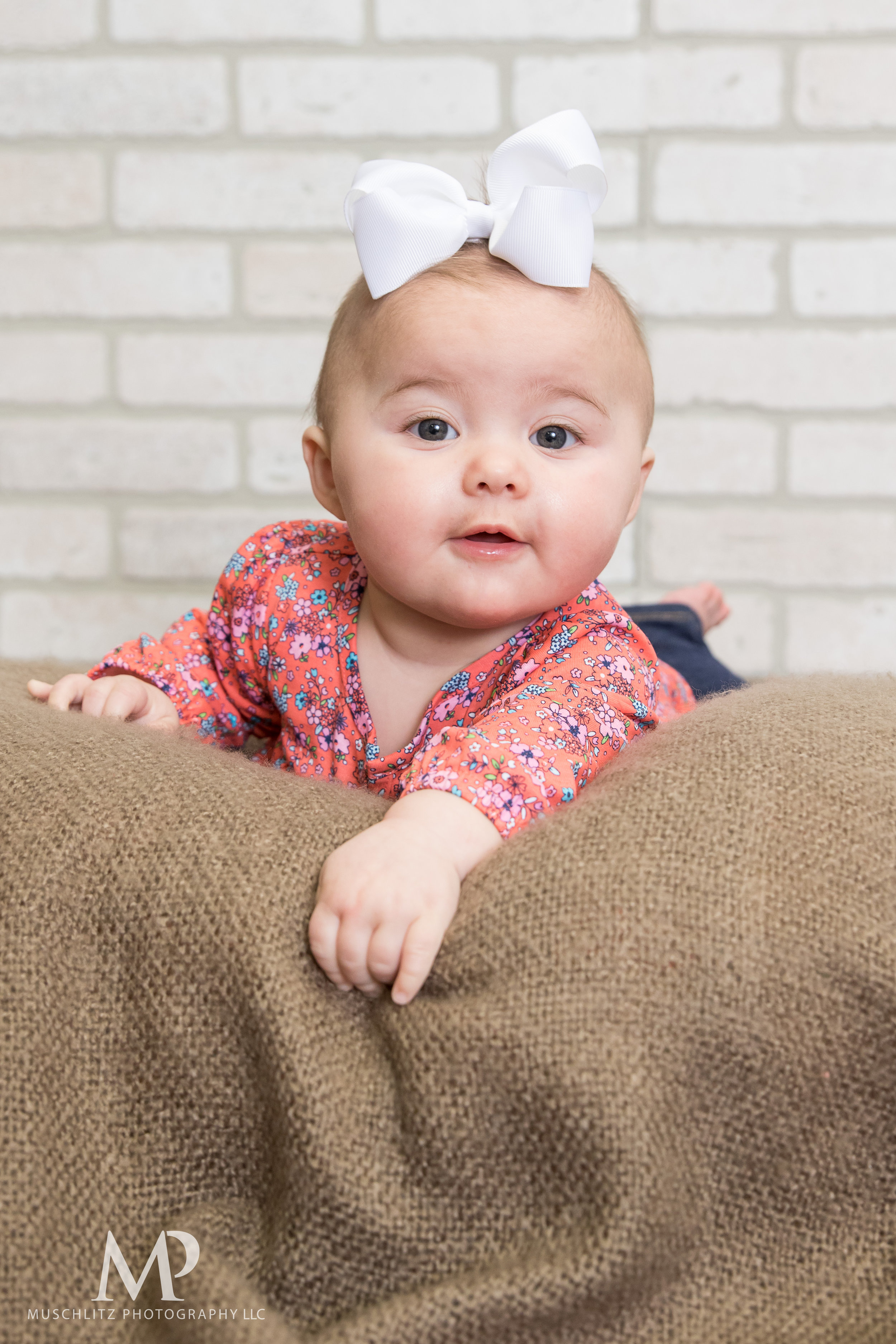 6-month-portraits-baby-photographer-columbus-ohio-gahanna-muschlitz-photography-004.JPG