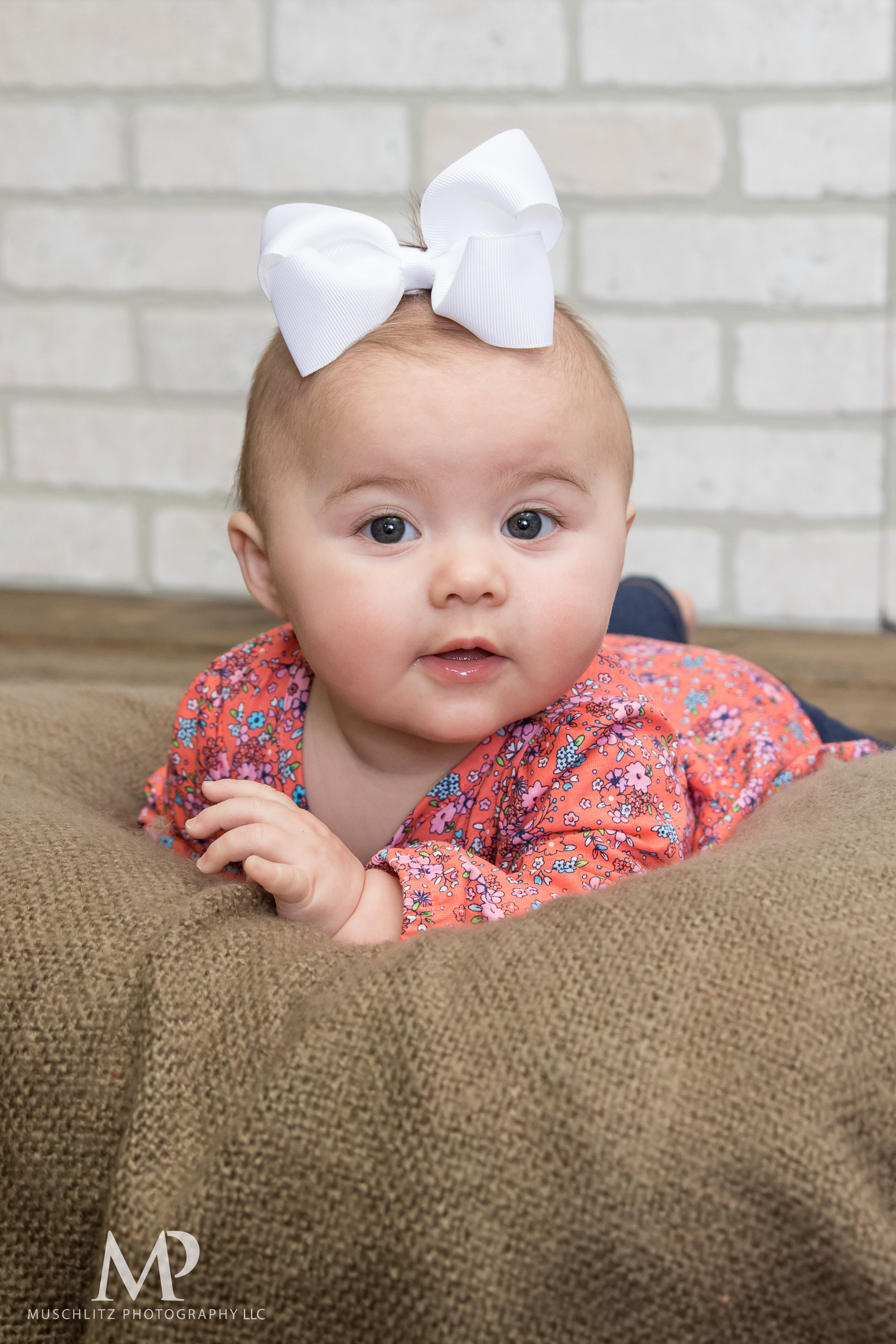 6-month-portraits-baby-photographer-columbus-ohio-gahanna-muschlitz-photography-006.JPG