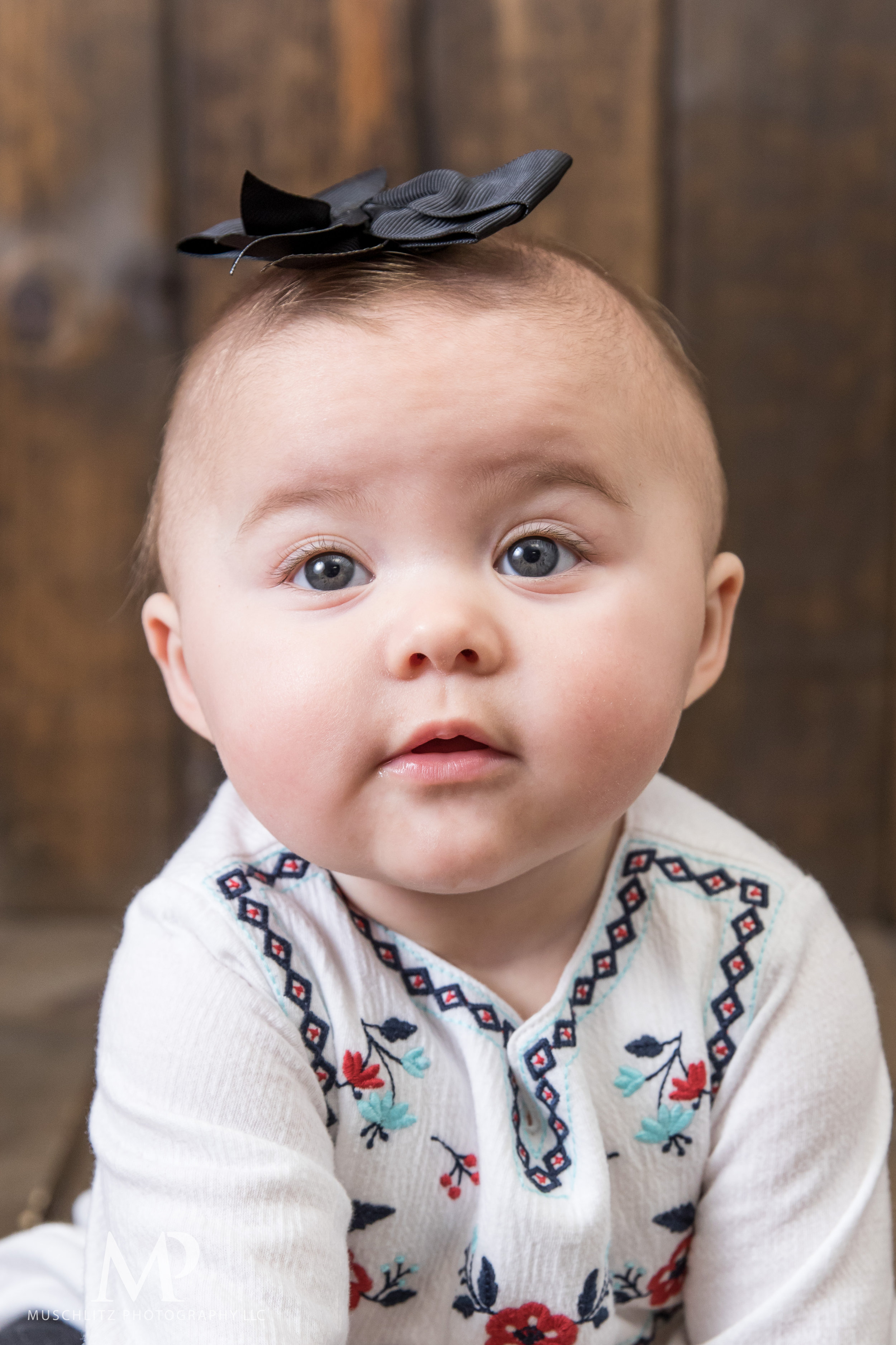 6-month-portraits-baby-photographer-columbus-ohio-gahanna-muschlitz-photography-017.JPG