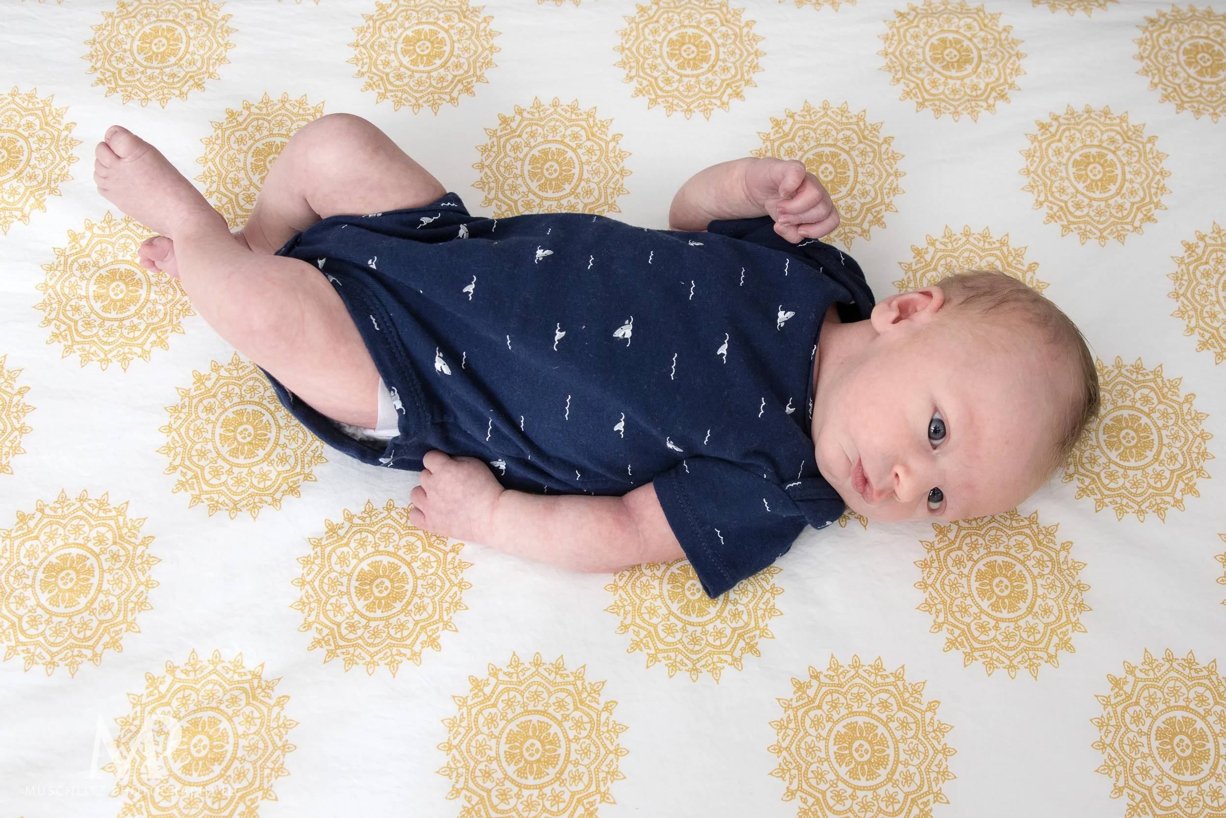 Columbus-Ohio-Newborn-Portrait-Session-Home-067.JPG