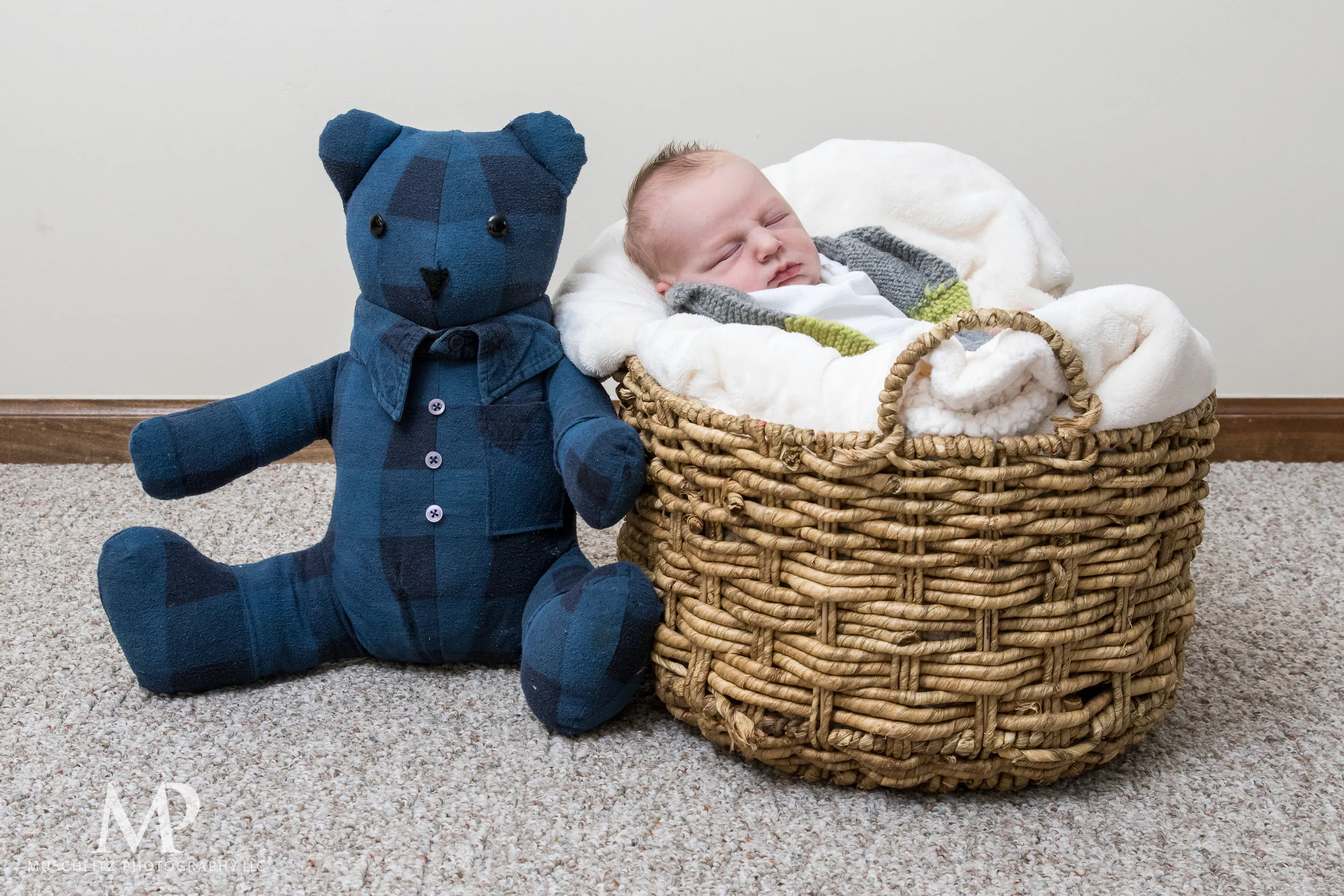 Columbus-Ohio-Newborn-Portrait-Session-Home-095.JPG