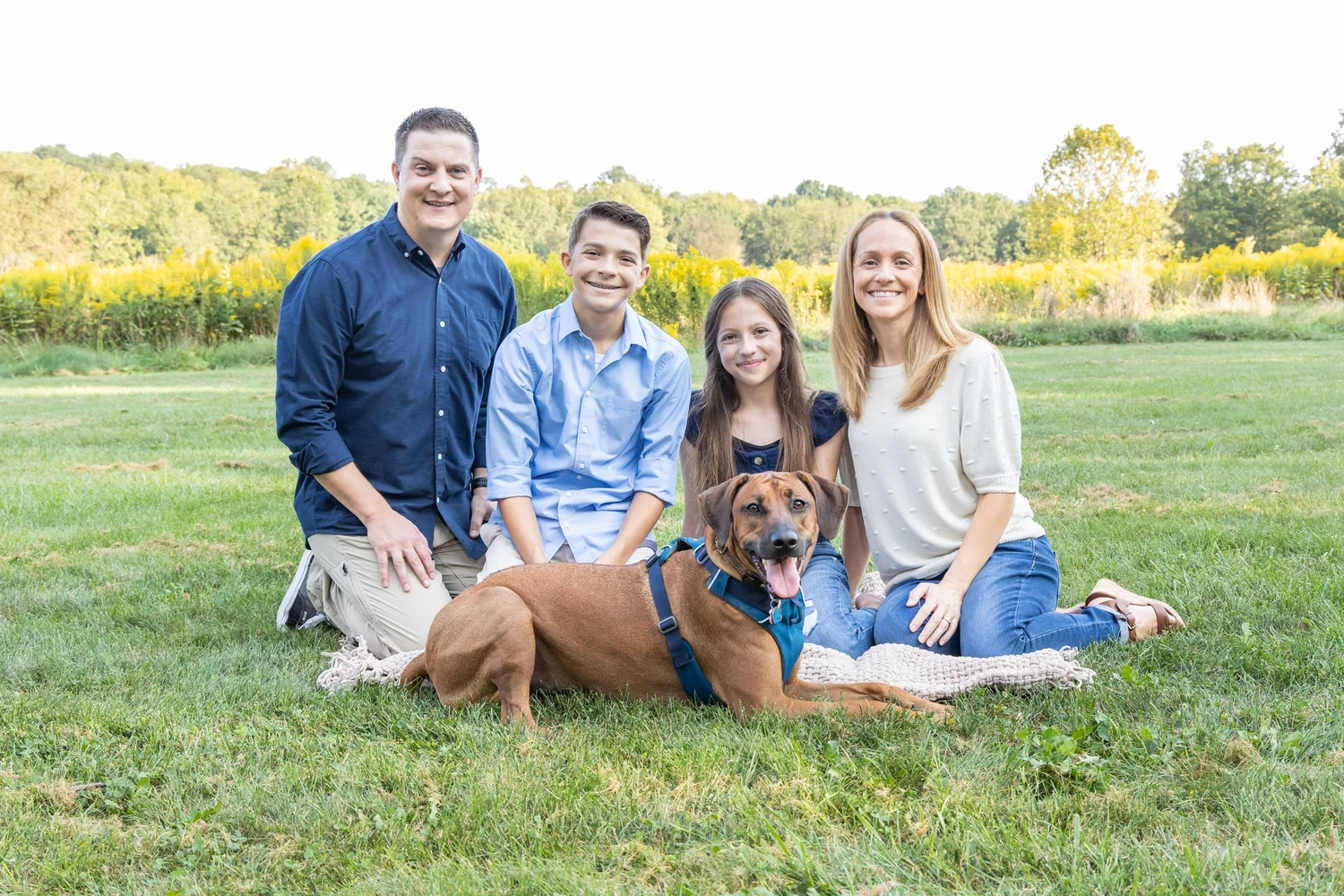Unique Family Portraits With Dogs — free download