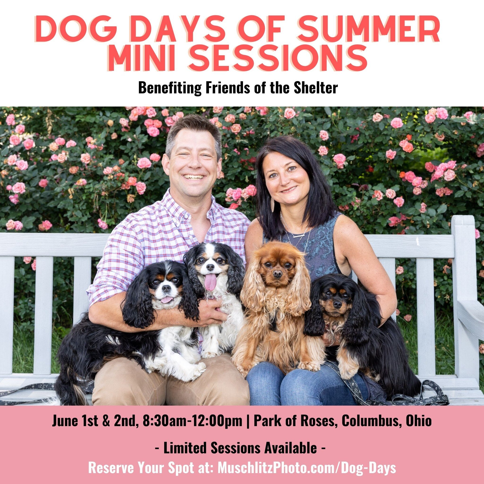 Warmer weather is here and it's almost time for one of our favorite fundraisers! We are so excited to host the 11th Annual Dog Days of Summer (Dog-Friendly) Mini Session Fundraiser to benefit the local dog rescue, Friends of the Shelter!

$50 from ev