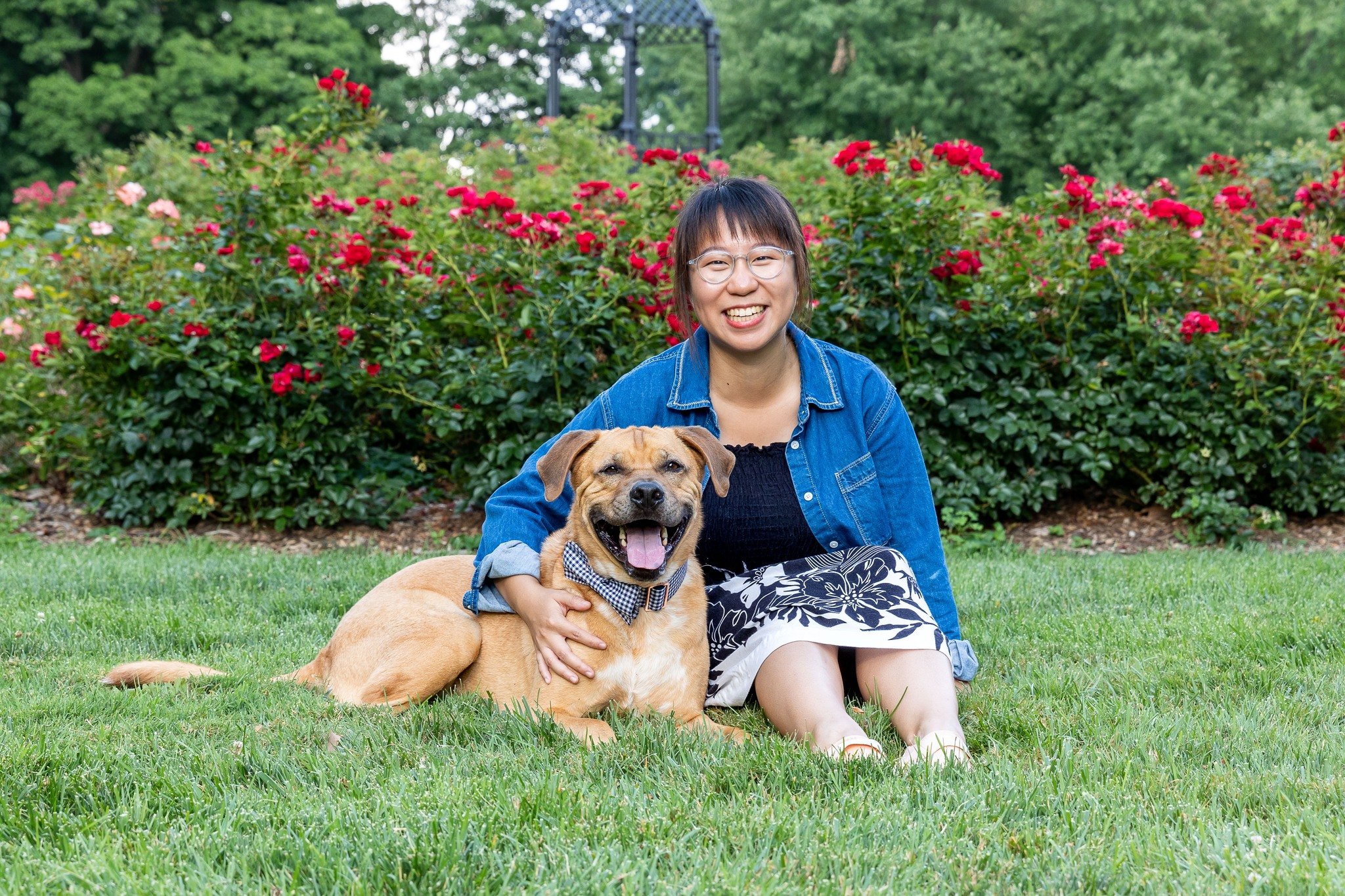 ☀️ Summer Portraits? Yes, please!☀️

Summer is in full swing and it's one of my favorite times of year to capture portraits of the pets and people that mean the most!

Celebrate the sunshine with portraits of your dog and your favorite people. Whethe