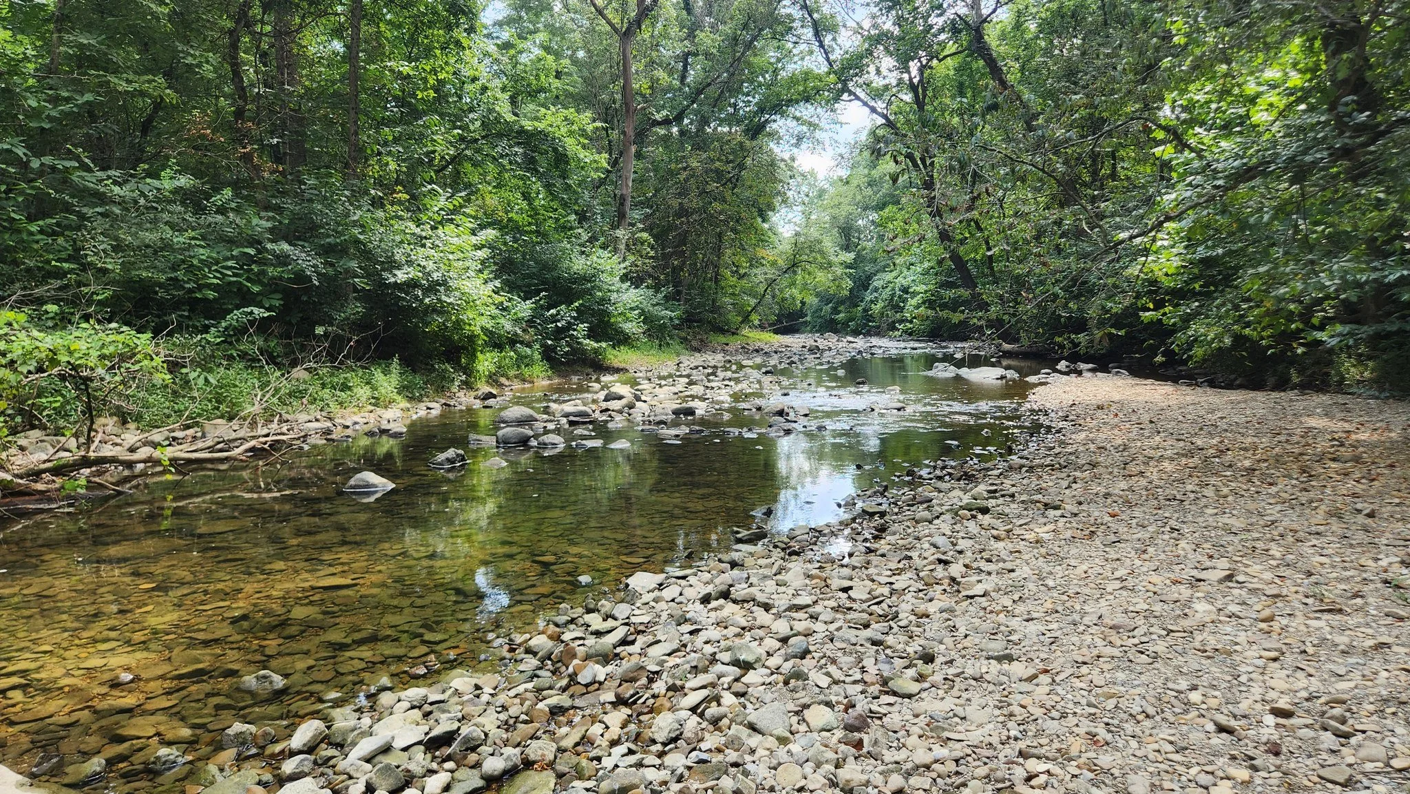 🍂✨ The scenes for this year&rsquo;s Fall Mini Sessions are absolutely gorgeous! From a beach area along Blacklick Creek, to peaceful pond views, to wooded trails that will soon be bursting with autumn color 🍁 - it&rsquo;s the perfect backdrop for y