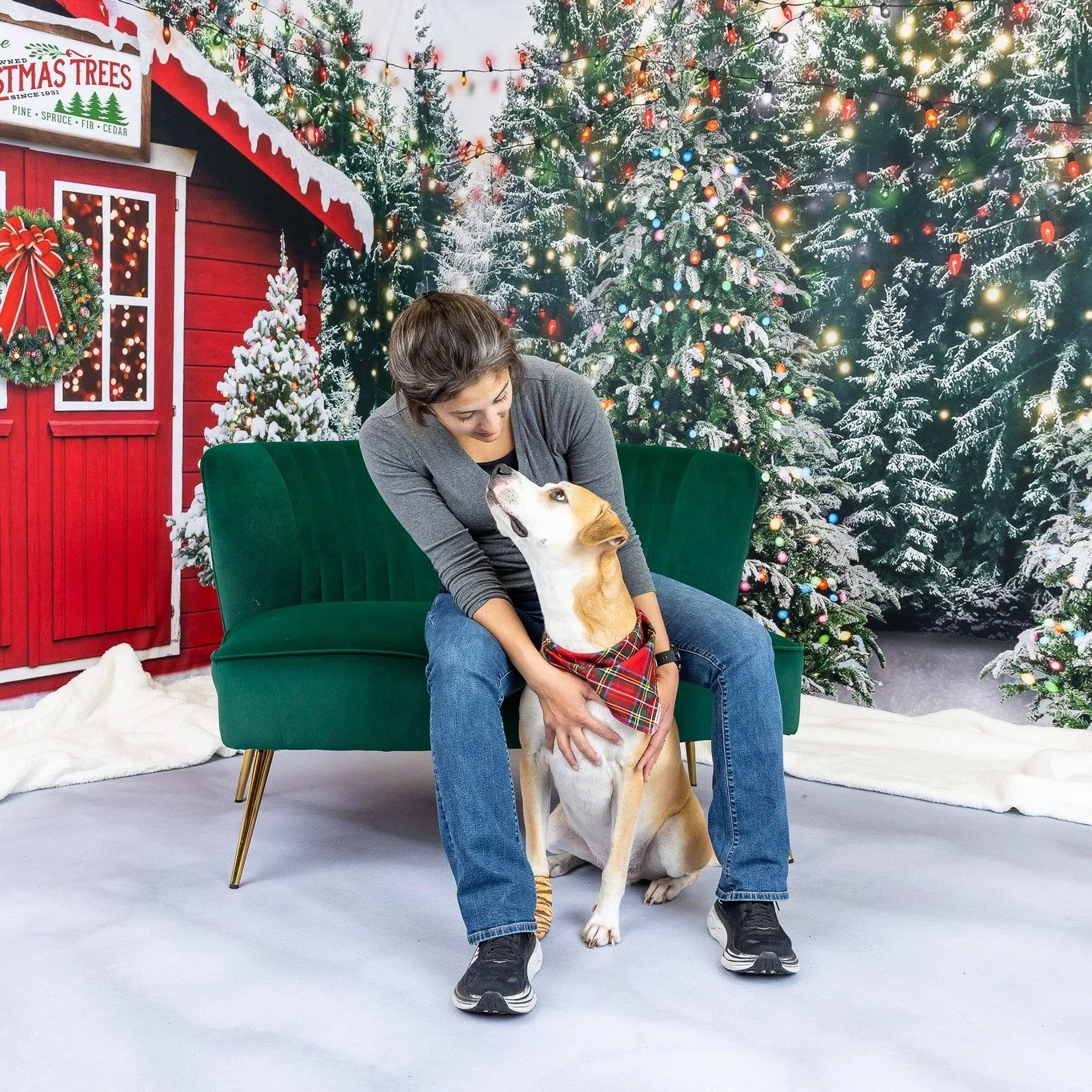 🎄✨ Last Chance to Book Your Holiday Mini Session! ✨🎄

Just a couple of days left &mdash; sign-ups close Thursday night, 11/6! 📅
Don&rsquo;t miss your chance to capture festive portraits you&rsquo;ll treasure forever. These sessions are perfect for